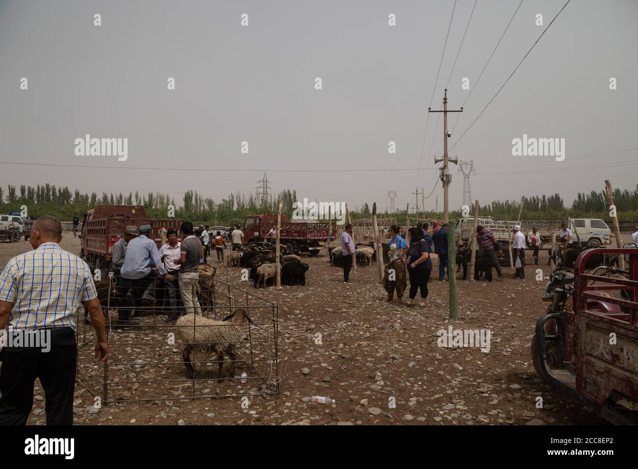 KASHGAR, CHINE : un Uyghur qui tente de vendre ses moutons sur le marché du dimanche près de Kashgar dans la région autonome de Xinjiang Uyghur Banque D'Images