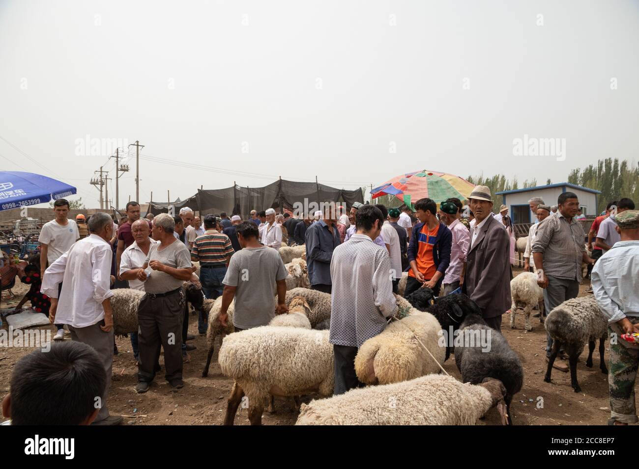 KASHGAR, CHINE : un groupe d'Uyghur qui tente de vendre leurs moutons sur le marché du dimanche près de Kashgar dans la région autonome d'Uyghur du Xinjiang Banque D'Images