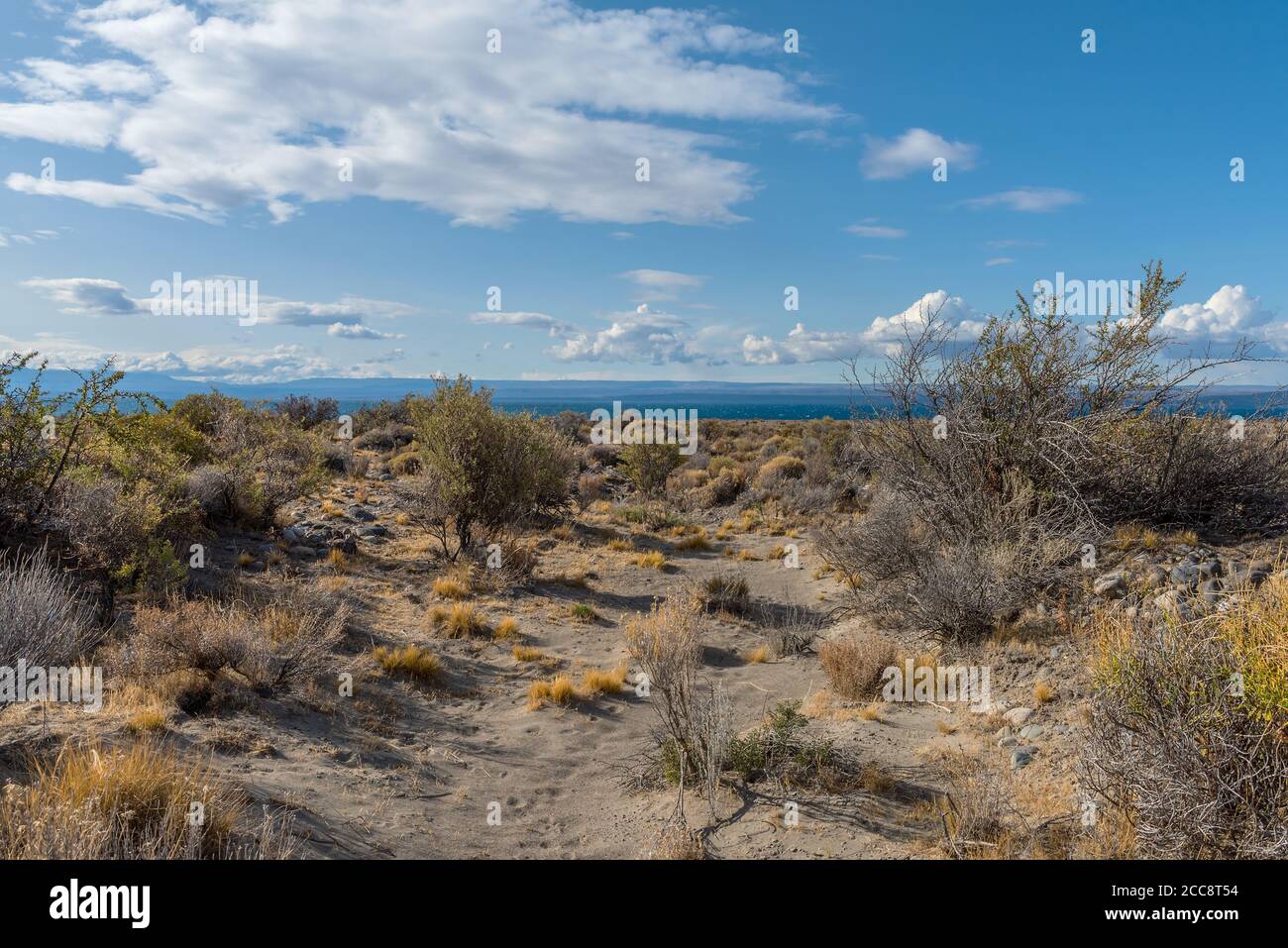 Vue sur le lac Viedma en Patagonie, Argentine Banque D'Images