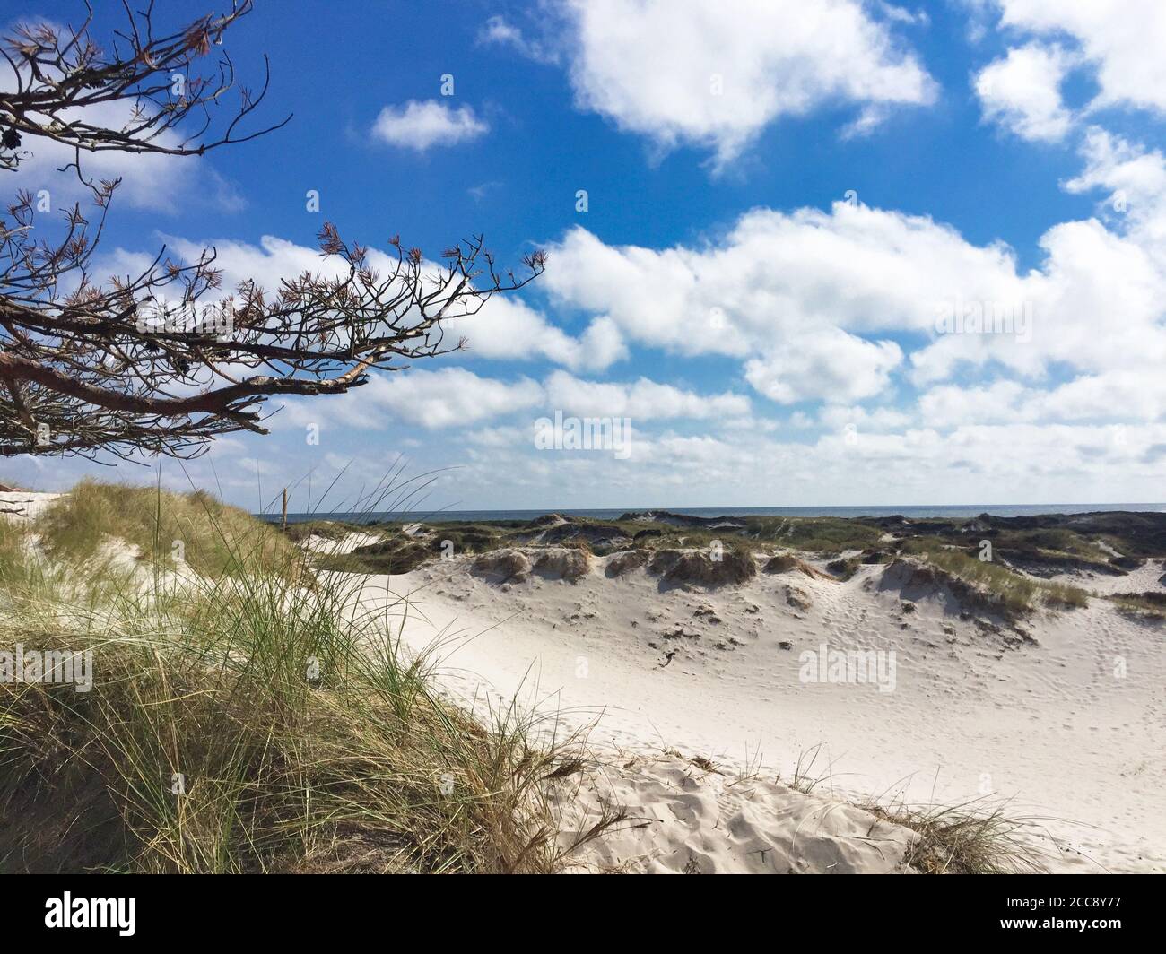 Ciel bleu nuageux sur l'océan et dune herbacée à Dueodde, île de Bornholm, Suède Europe Banque D'Images