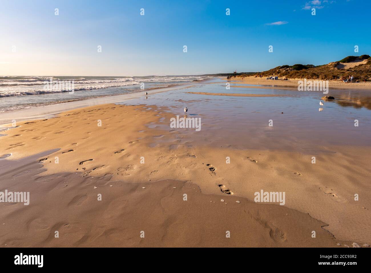 Plage de sable de son Bou, l'une des plages les plus populaires de l'île de Minorque. Espagne. Banque D'Images