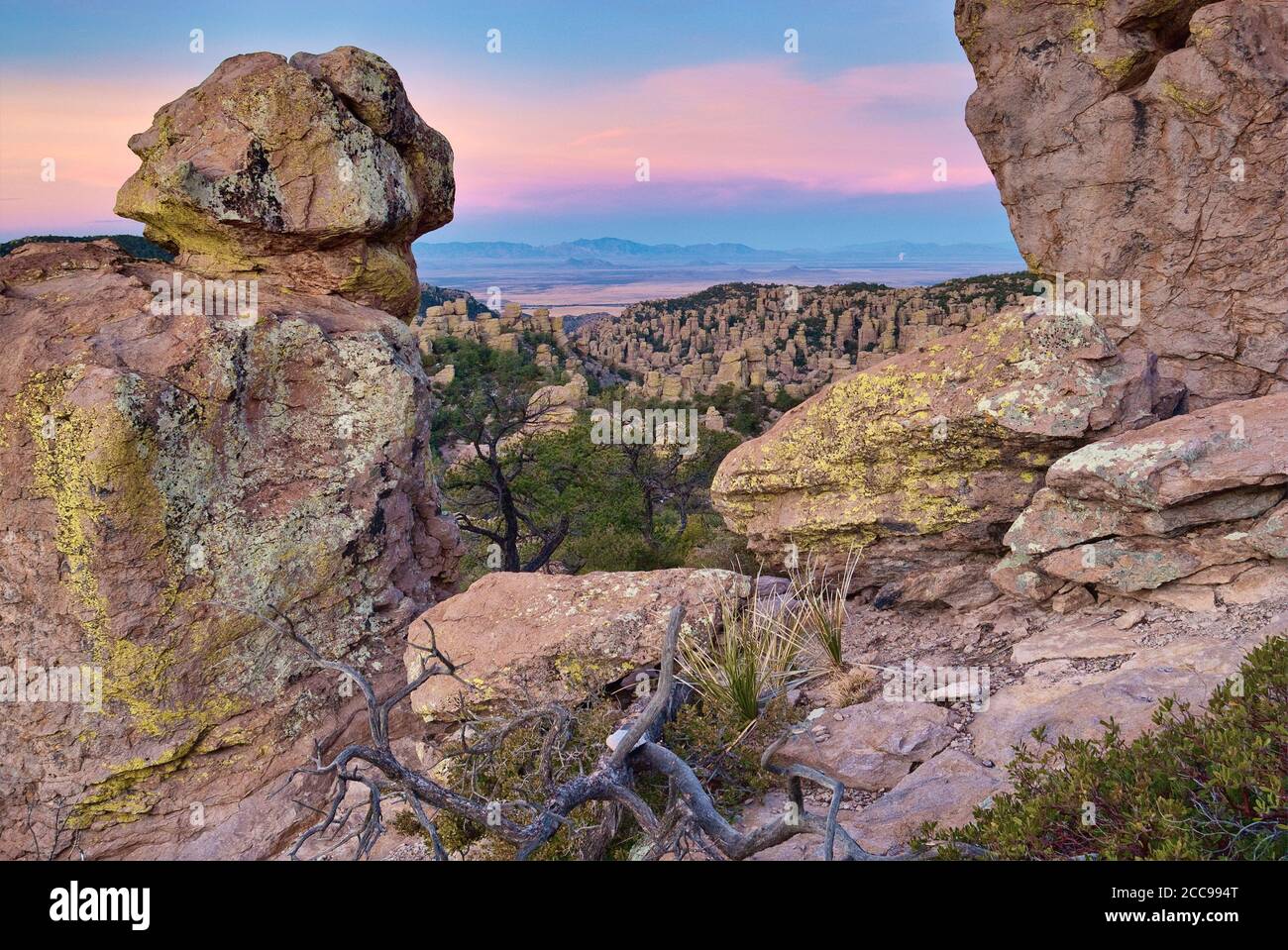 Rochers de rhyolite à Massai point au monument national de Chiricahua avec Sulphur Spring Valley Dragoon Mountains à distance, Arizona, États-Unis Banque D'Images