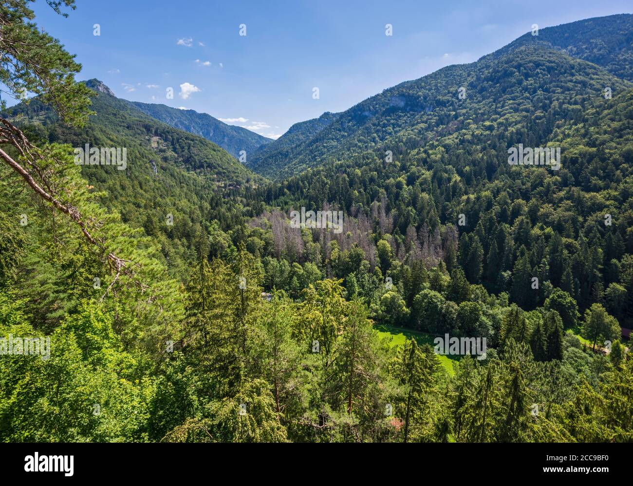 Vallée de Gaderska, massif de Tlsta, vue depuis le château de Blatnica (Blatnický hrad), parc national de Velka Fatra, près du village de Blatnica, région de Zilina Slovaquie Banque D'Images