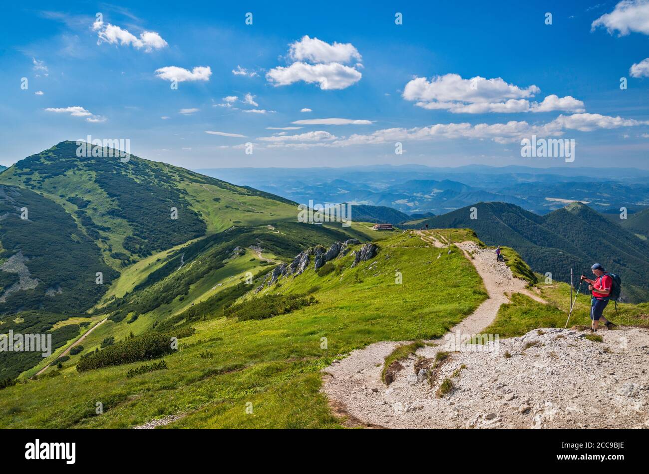 Velky Krivan massif sur la gauche, Snilovske sedlo (col) au centre, randonneur sur le sentier du sommet de Chleb, parc national de Mala Fatra, région de Zilina, Slovaquie Banque D'Images