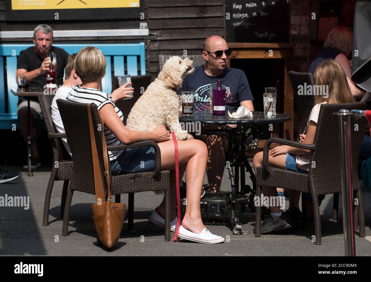 Chien de compagnie assis à la table avec la famille à l'extérieur du café Grande-Bretagne Royaume-Uni Banque D'Images Chien de compagnie assis à la table avec la famille à l'extérieur du café Grande-Bretagne Royaume-Uni Banque D'Images
