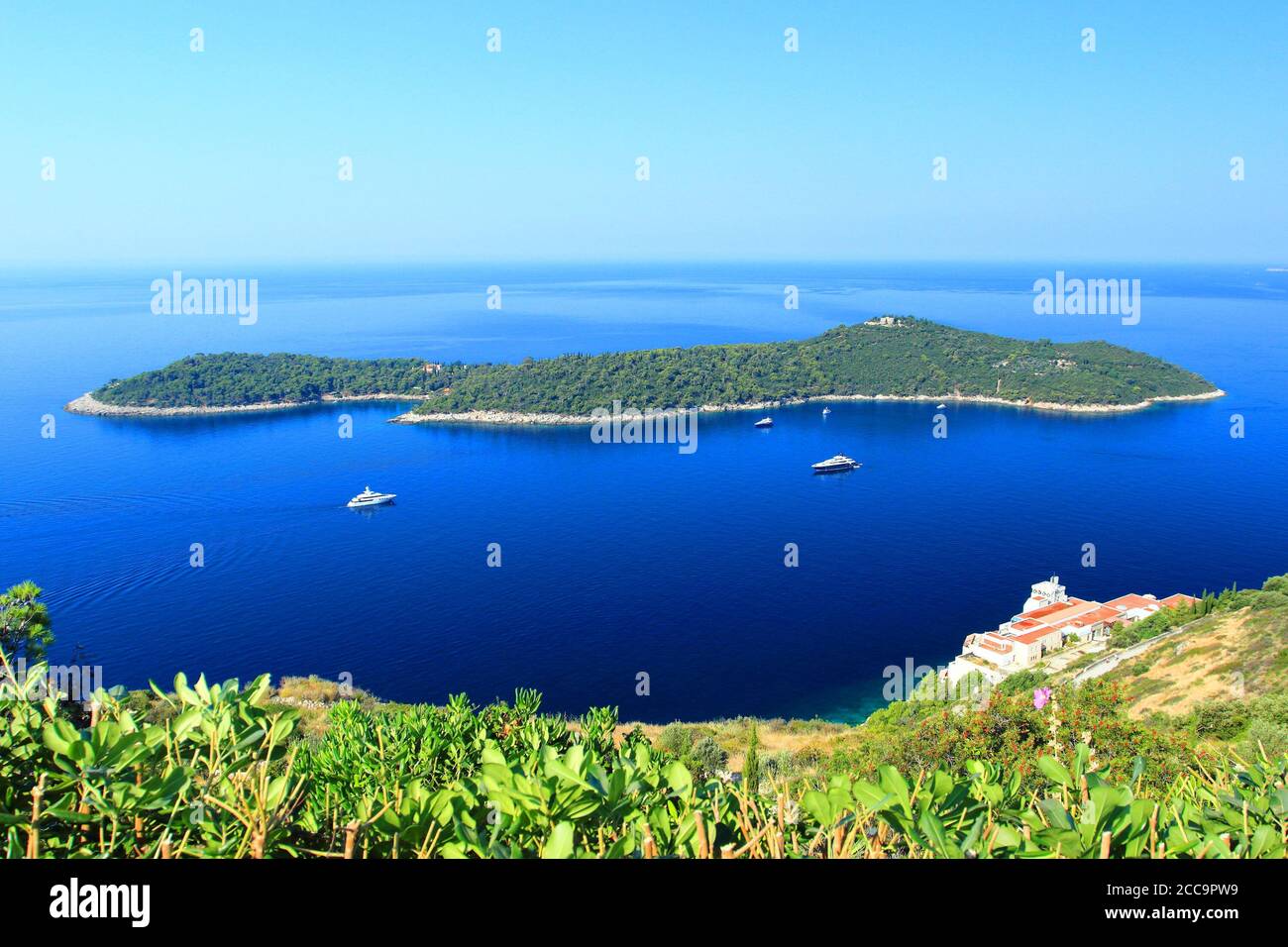 Île Lokrum près de Dubrovnik, destination de voyage sur la mer Adriatique, Croatie Banque D'Images