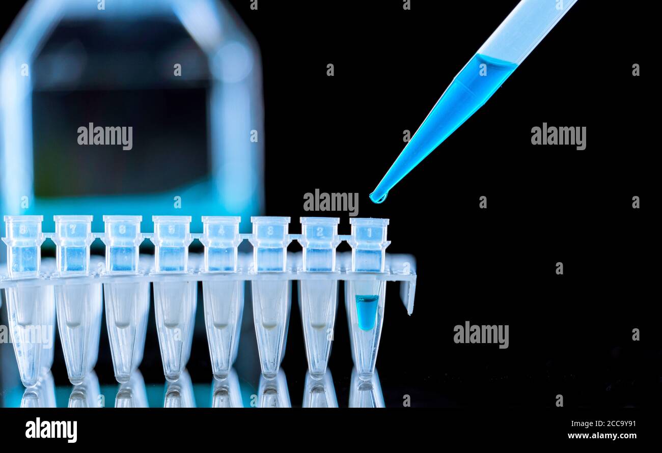 Tubes PCR en bandelettes et en pipette dans un laboratoire de recherche génétique gros plan Banque D'Images