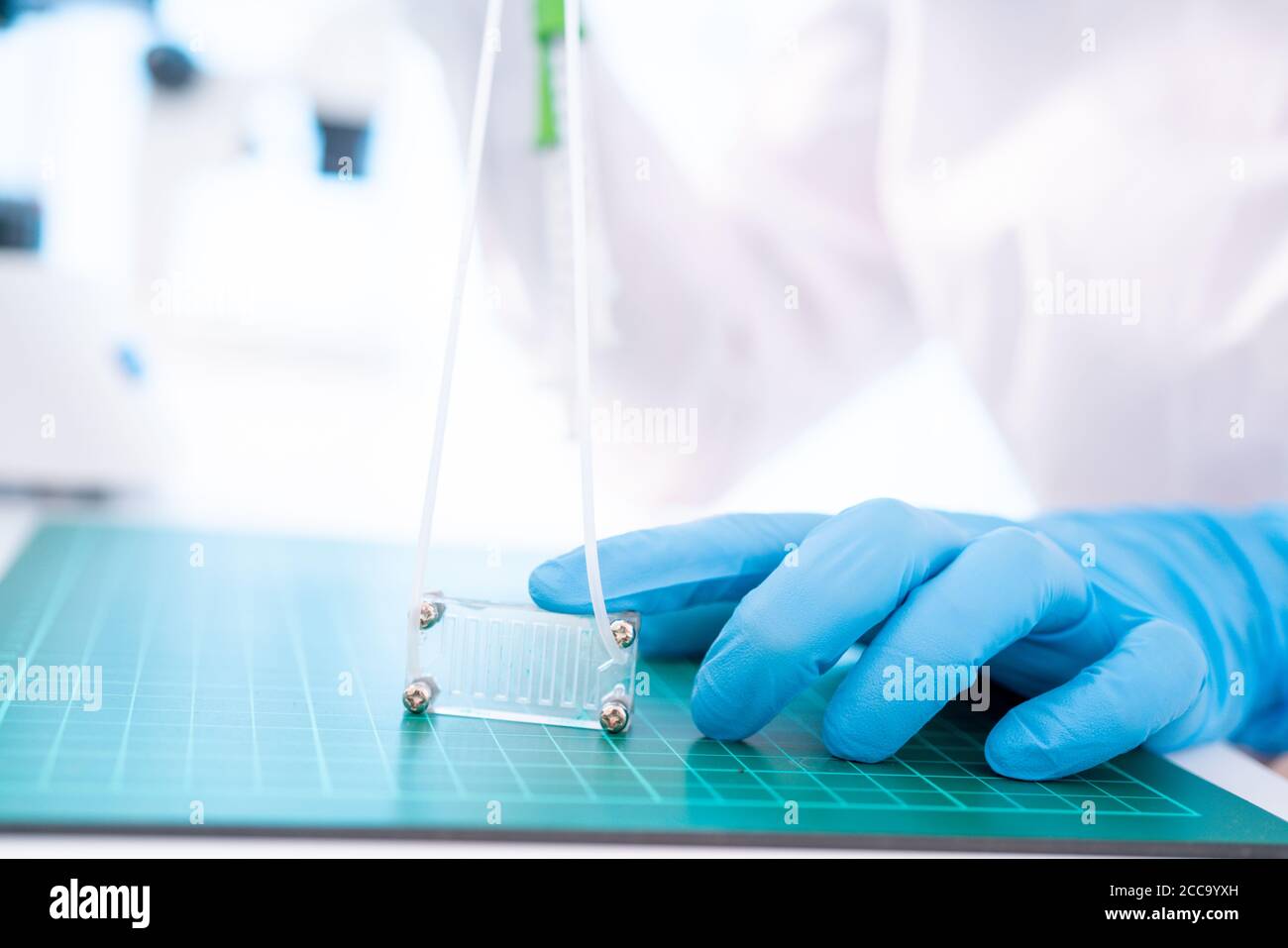 Organe-sur-puce (OOC) - dispositif microfluidique puce qui simule les organes biologiques c'est le type d'organes artificiels. Conception de prototypes de laboratoires sur puce Banque D'Images