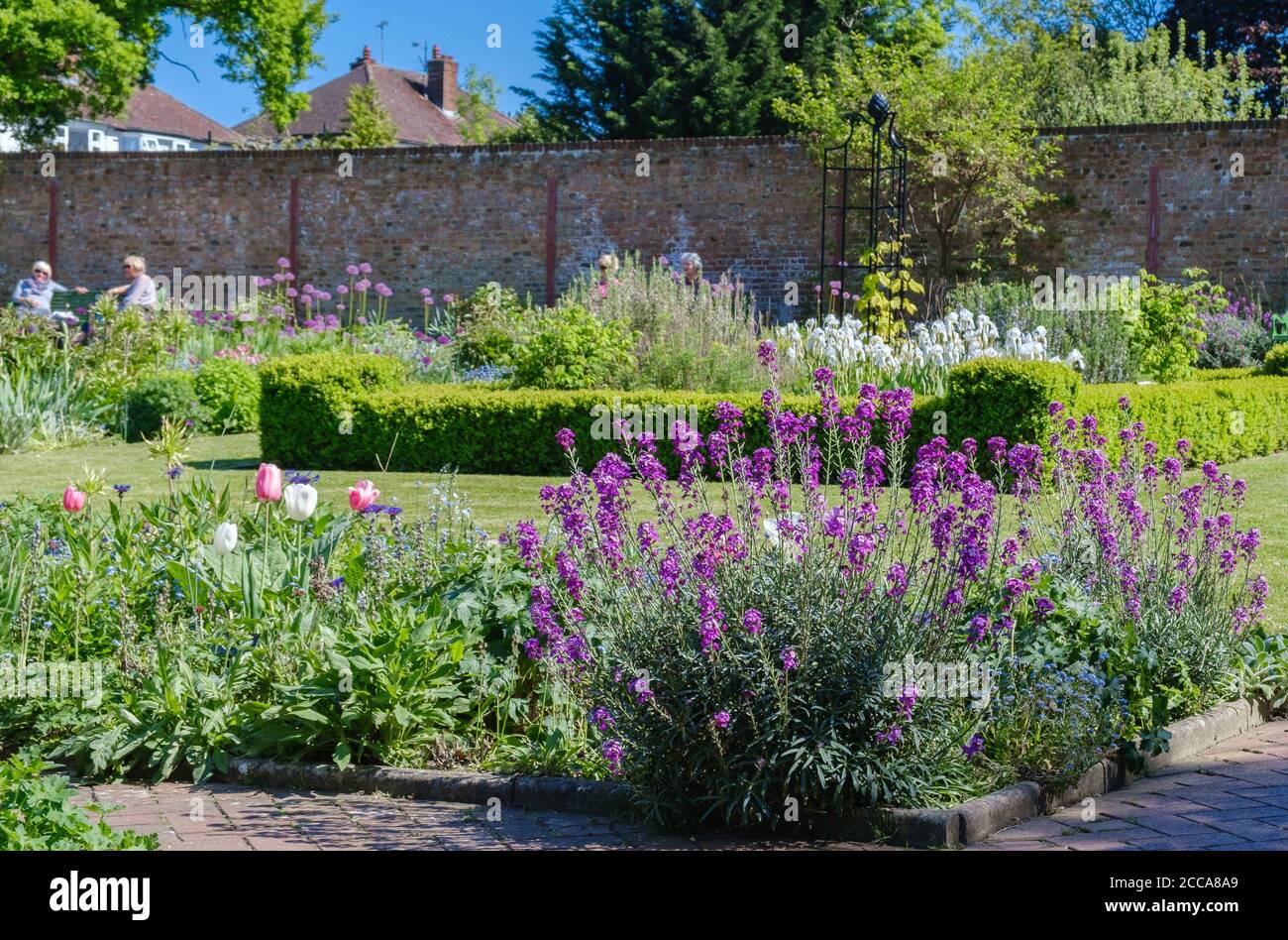 Expositions florales dans le jardin clos du XVIIe siècle, Eastcote House Gardens, Hillingdon, nord-ouest de Londres, Angleterre, Royaume-Uni Banque D'Images