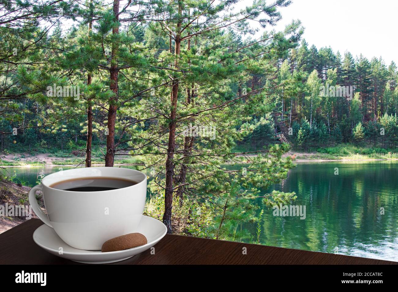 Tasse de café avec biscuit contre le petit pipe Tree près du lac turquoise. Forêt d'été avec des arbres à pipe, Lettonie Banque D'Images