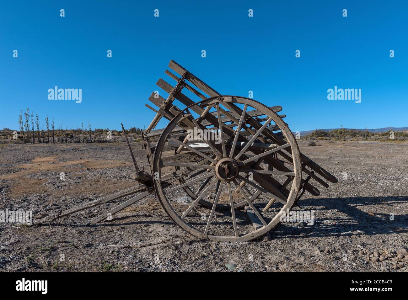 Un chariot à cheval antique à essieu simple, Patagonia, Argentine Banque D'Images