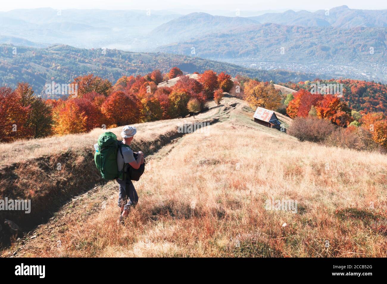 Backpacker dans un pré d'automne ensoleillé avec des hêtres orange. Montagnes des Carpates ukrainiennes. Photographie de paysage Banque D'Images
