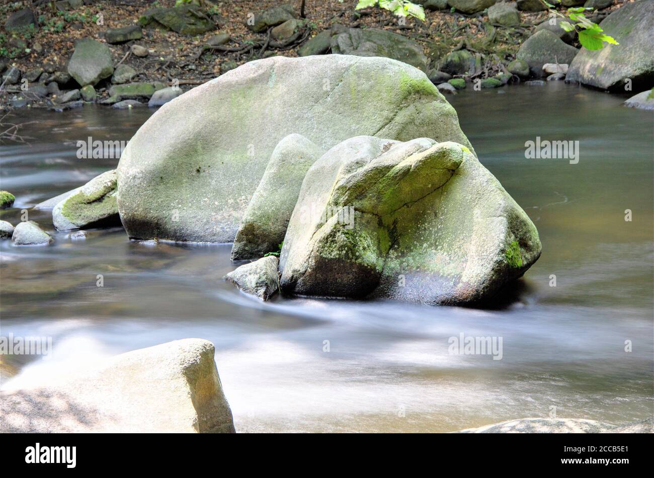 La vallée de la Bode est une réserve naturelle dans les monts Harz, en Allemagne, et a été photographiée avec un trépied utilisant un filtre gris pour donner à l'eau un brouillard eff Banque D'Images