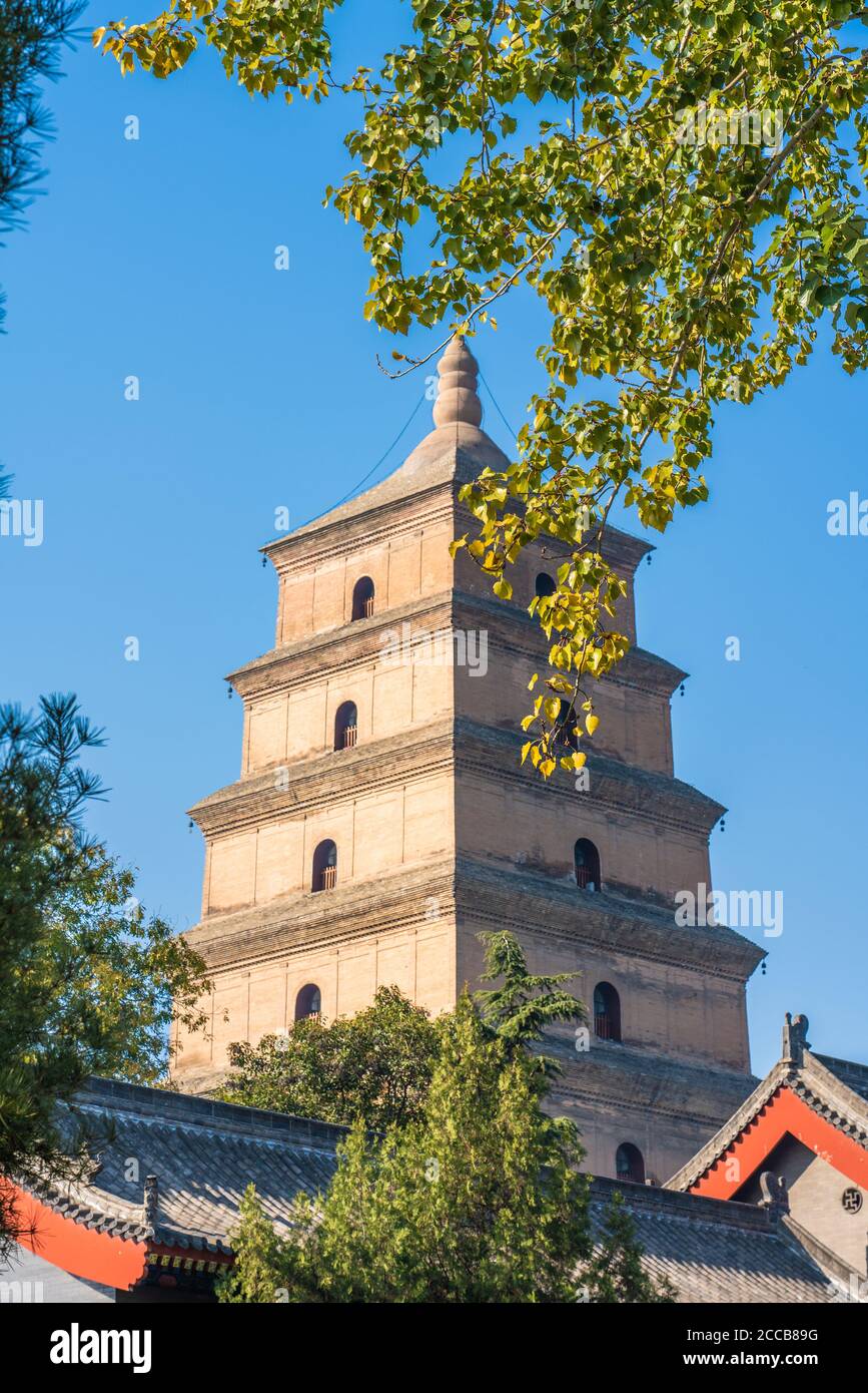 Vue sur la pagode de l'OIE sauvage géante une pagode bouddhiste historique à Xian, en Chine Banque D'Images