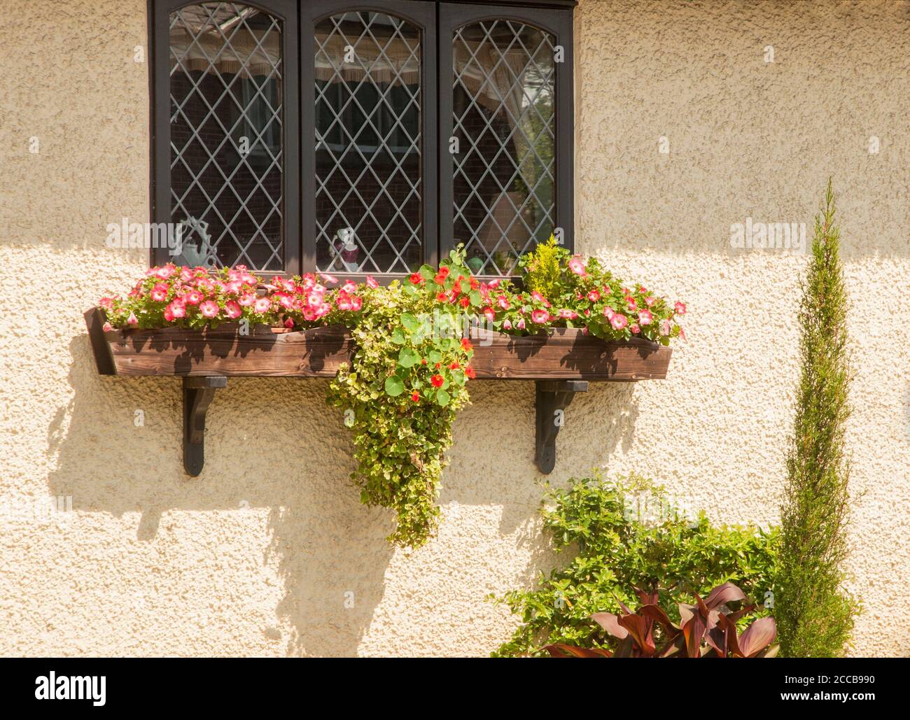 Gros plan d'une boîte de fenêtre pleine de fleurs dans été sous la fenêtre d'un chalet de campagne Banque D'Images