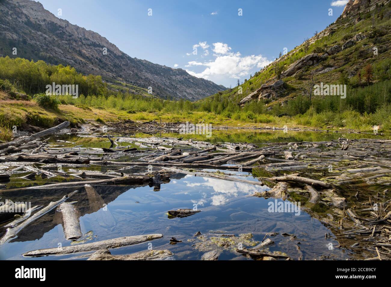 Magnifique paysage autour de Lamoille Canyon, Nevada Banque D'Images