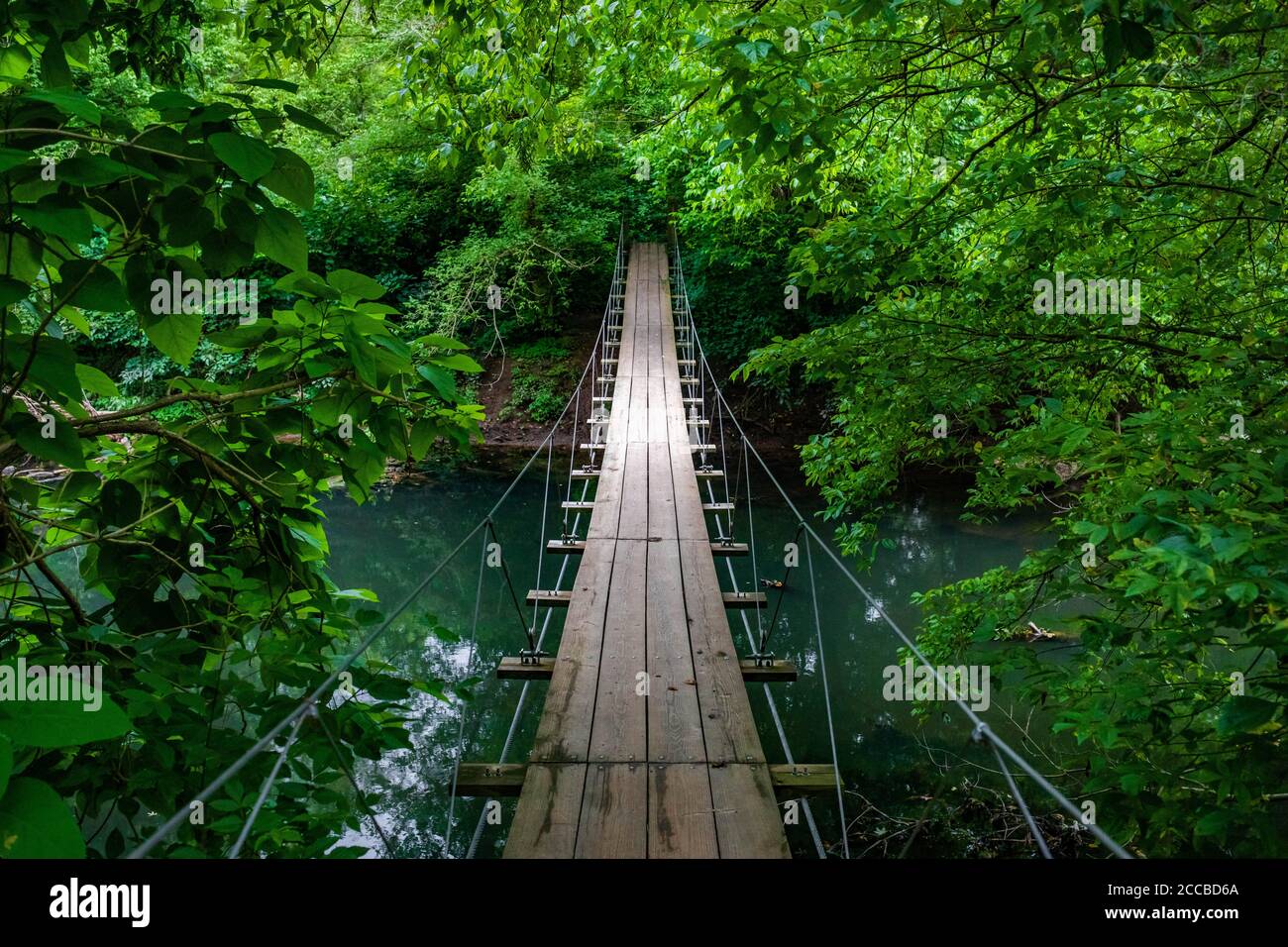 Pont suspendu vide pittoresque au milieu de la forêt personne autour d'un chemin vide Banque D'Images