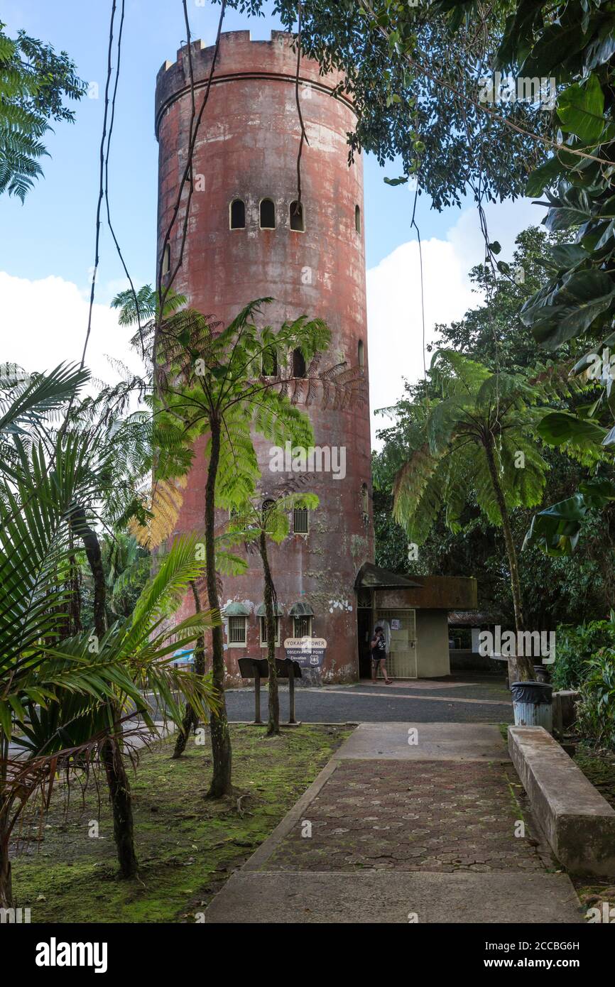 La tour d'observation de Yokahu de 75 mètres de haut dans la forêt nationale d'El Yunque, Porto Rico. Banque D'Images