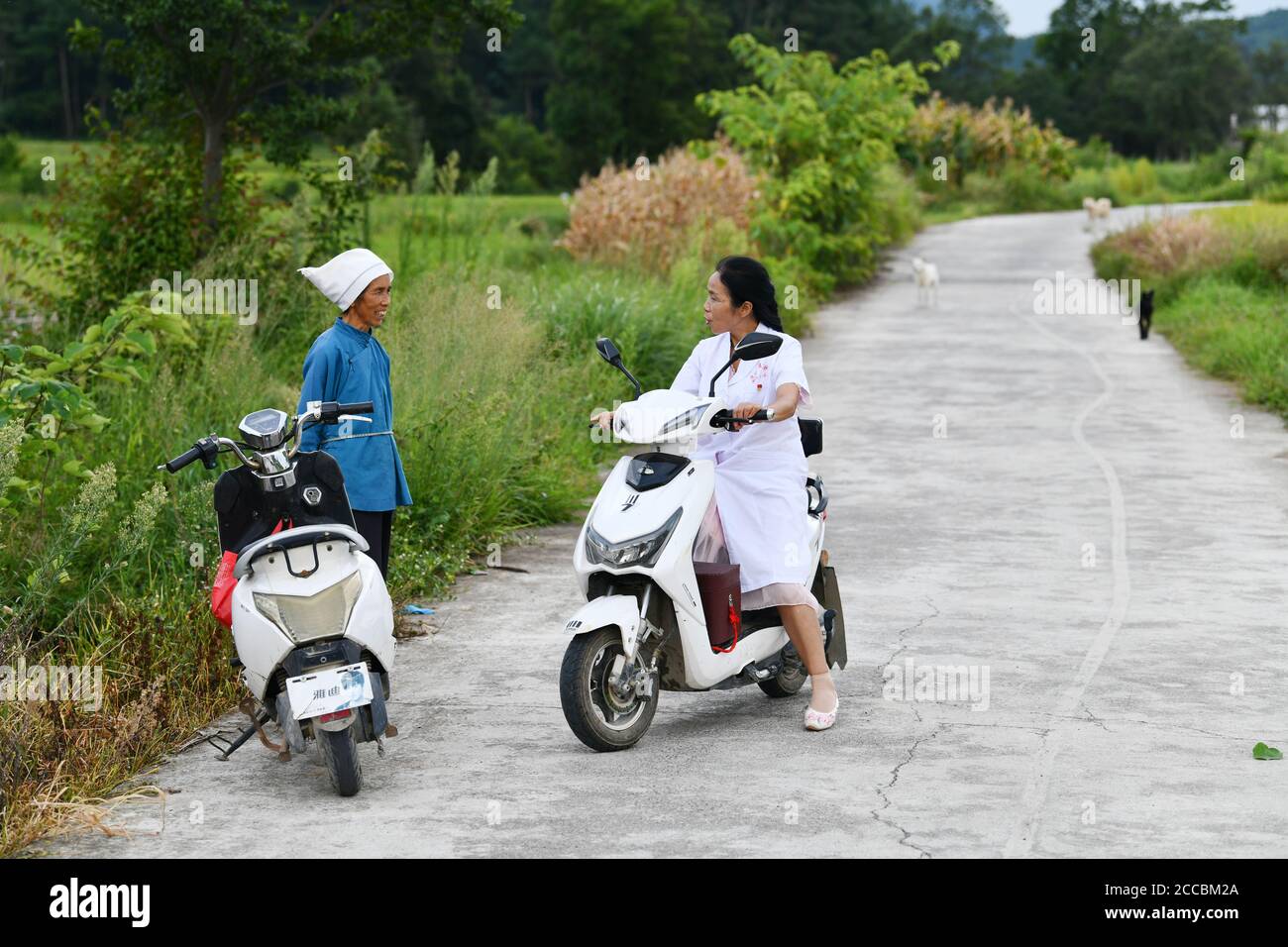 (200821) -- LONGLI, 21 août 2020 (Xinhua) -- Luo Mu s'entretient avec un villageois en route pour rendre visite à une patiente du village de Cuiwei, comté de Longli, préfecture autonome de Qiannan Buyi-Miao, province de Guizhou, dans le sud-ouest de la Chine, le 18 août 2020. Luo Mu, 49 ans, médecin du groupe ethnique Buyi, travaille dans le village de Cuiwei, dans le comté de Longli. Diplômée d'une école de médecine en 2004, elle est rentrée dans le village servant de médaillé. Elle a converti son salon en une clinique avec l'équipement médical qu'elle avait acheté, pour traiter les patients du village. En 2007, Luo a été employé dans une clinique nouvellement fondée à Banque D'Images