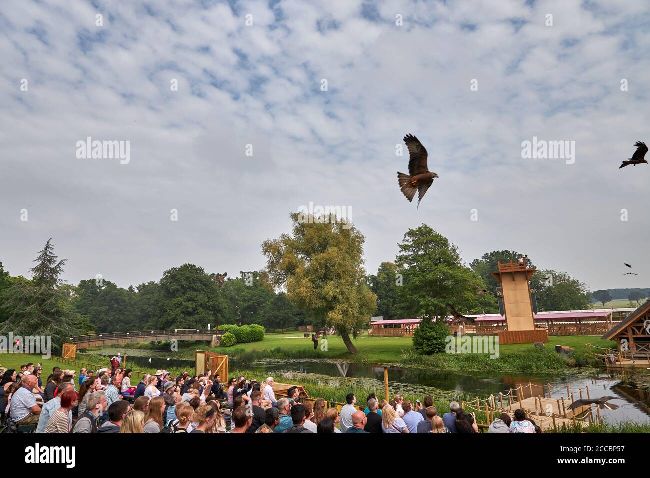 Spectacle de fauconnerie au château de Warwick Banque D'Images