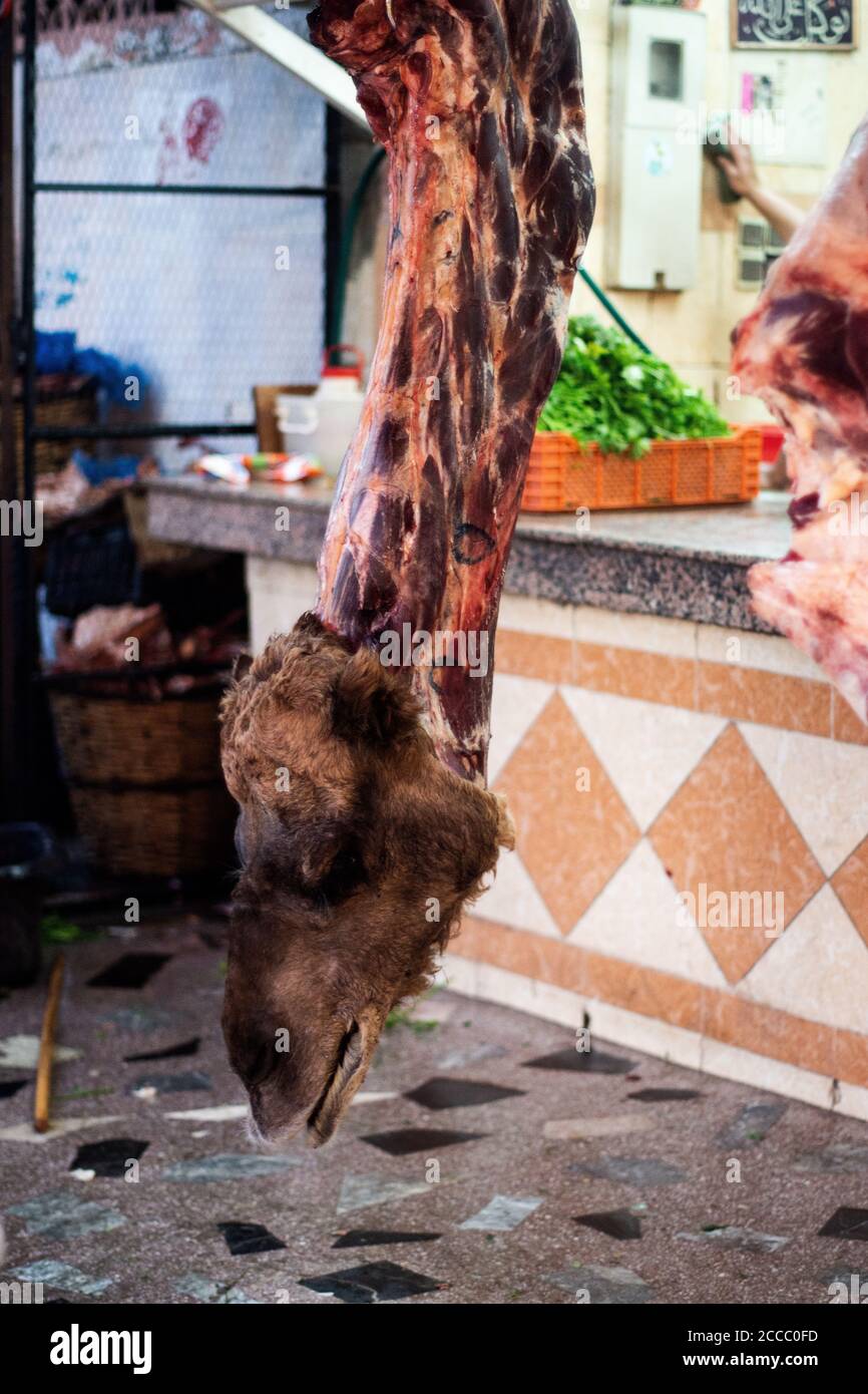 Dromadaire dans une boucherie dans le marché de rue Au Maroc Banque D'Images