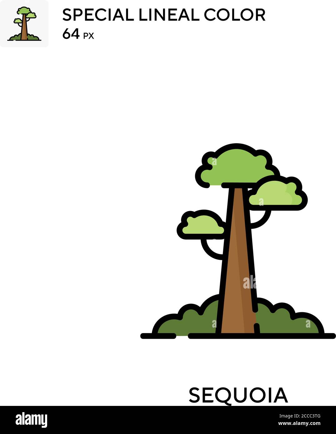 Sequoia icône de couleur spéciale de lineal. Modèle de conception de symbole d'illustration pour élément d'interface utilisateur Web mobile. Pictogramme moderne de couleur parfaite sur contour modifiable. Illustration de Vecteur