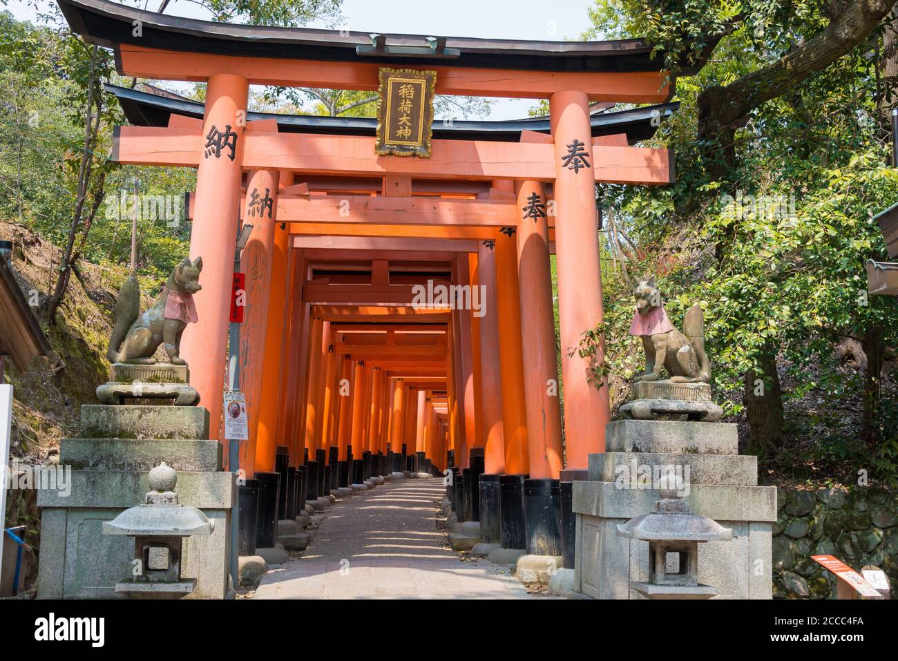 Kyoto, Japon - porte rouge de Torii au sanctuaire de Fushimi Inari taisha à  Fushimi, Kyoto, Japon Photo Stock - Alamy