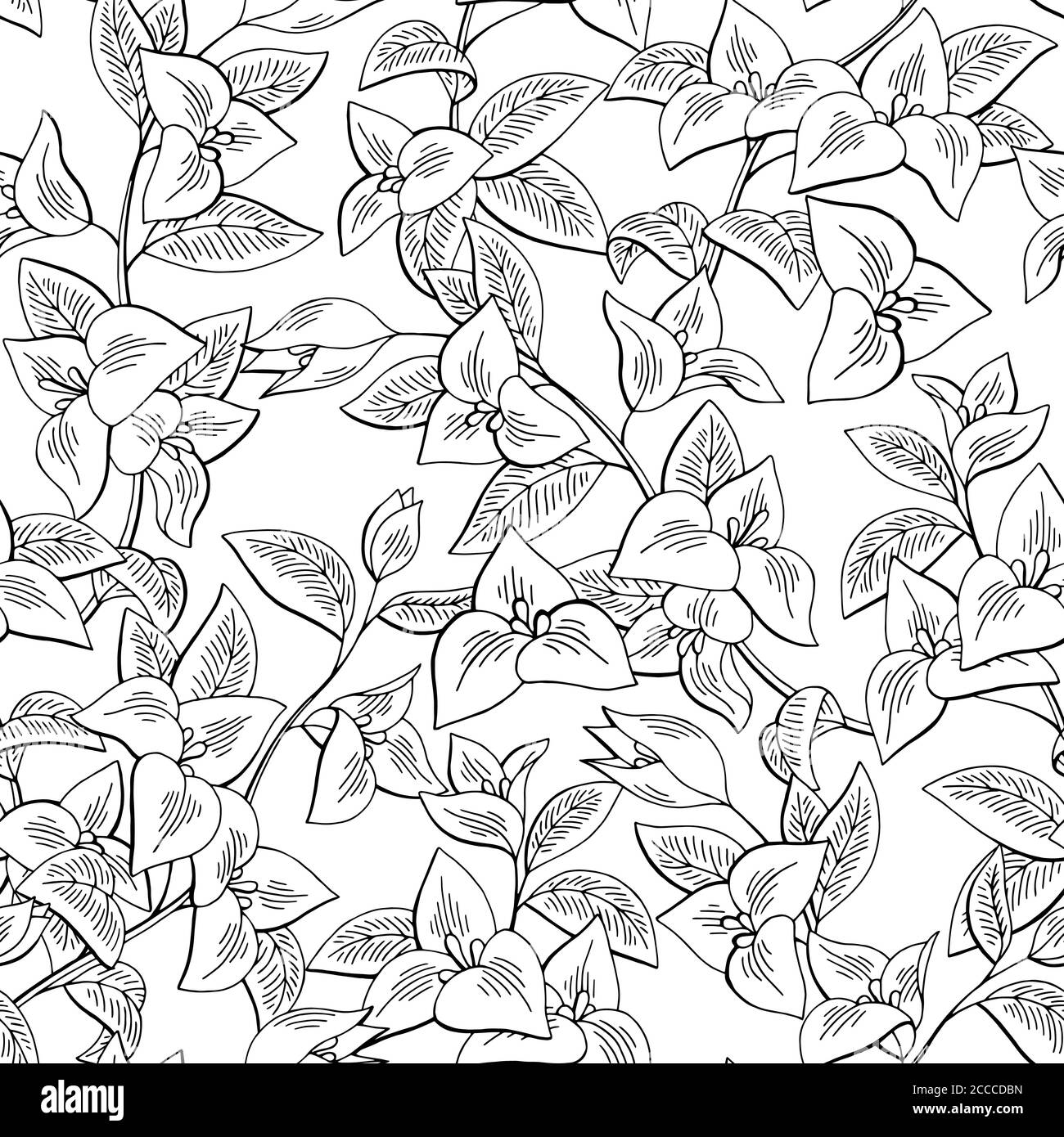 Bougainvillea fleur noir blanc graphique sans couture motif dessin illustration d'arrière-plan vecteur Illustration de Vecteur