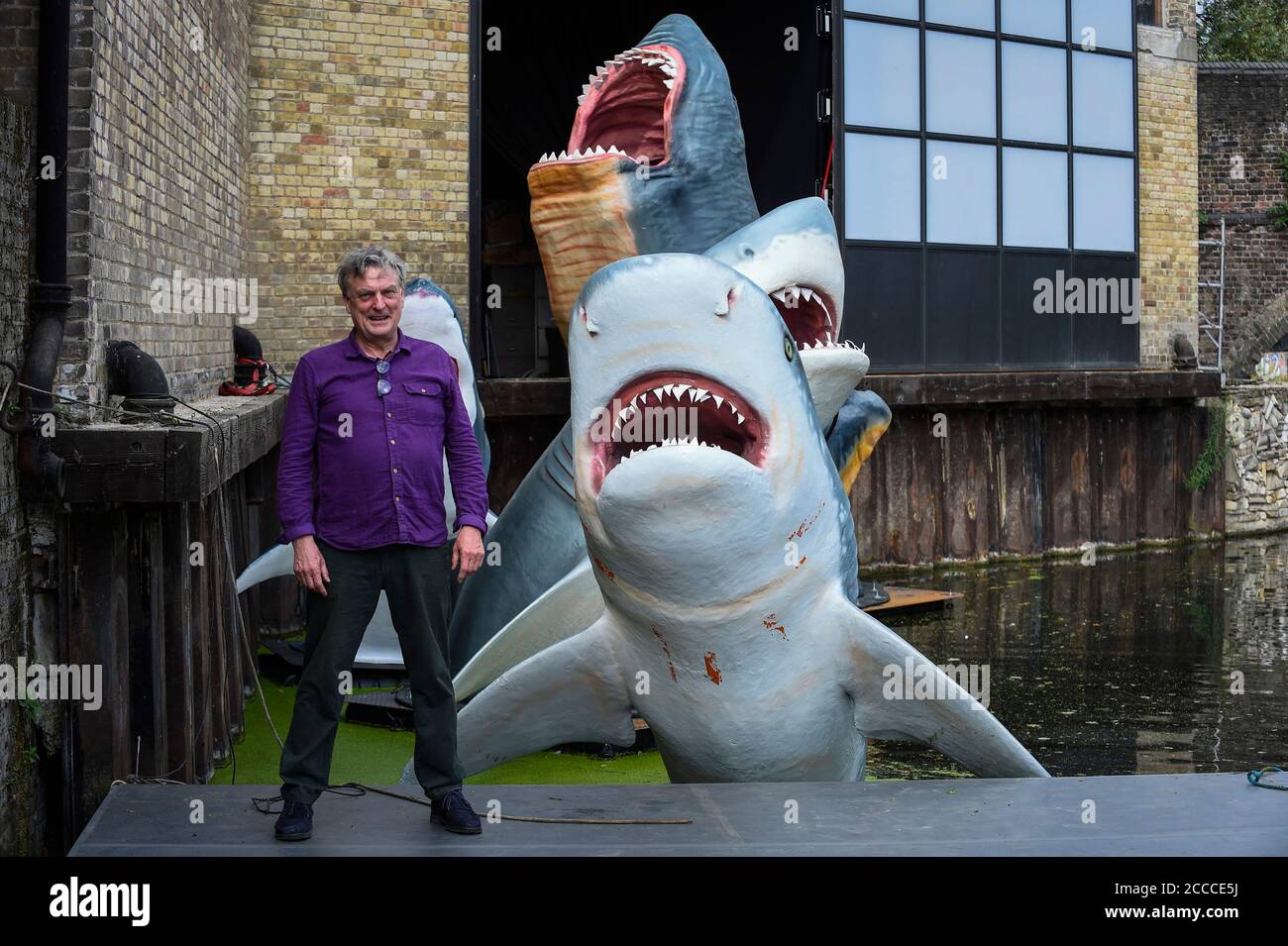 Londres, Royaume-Uni. 21 août 2020. L'architecte Jaimie raccourcit lors du dévoilement de son travail REQUINS! Dans l'est de Londres, le gagnant de la commission annuelle AntePavilion de cette année. La commission offre aux architectes, artistes et fabricants émergents l'occasion de créer de nouveaux travaux pour exposition temporaire. Le travail comprend un groupe de répliques de requins à grande échelle - deux Grands blancs, un requin tigre et deux requins dinosaur Megalodon - installés dans le canal de Regents à Hoxton Docks, Haggerston. Credit: Stephen Chung / Alamy Live News Banque D'Images