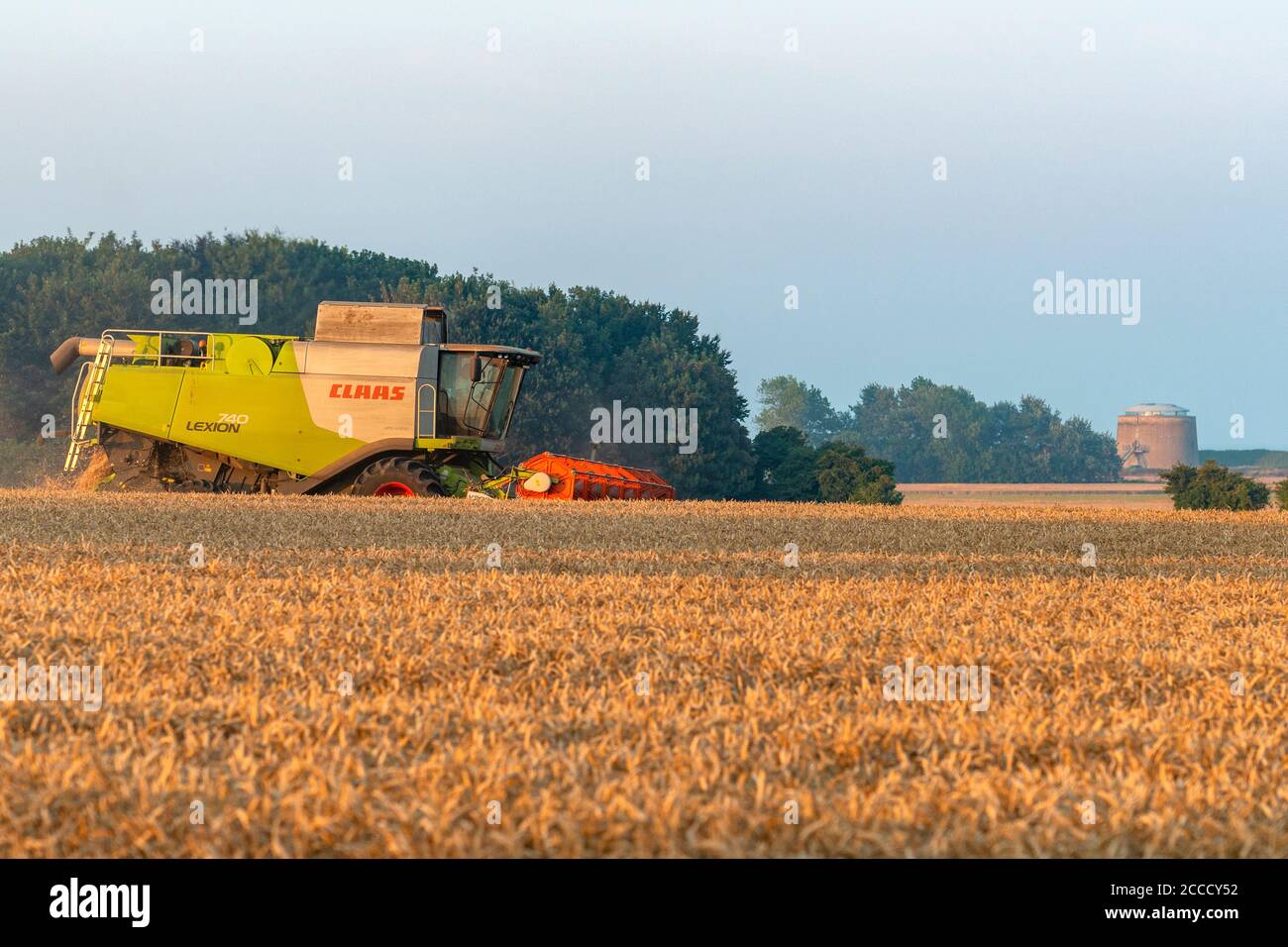 Récolte de blé Bawdsey Suffolk Angleterre Banque D'Images