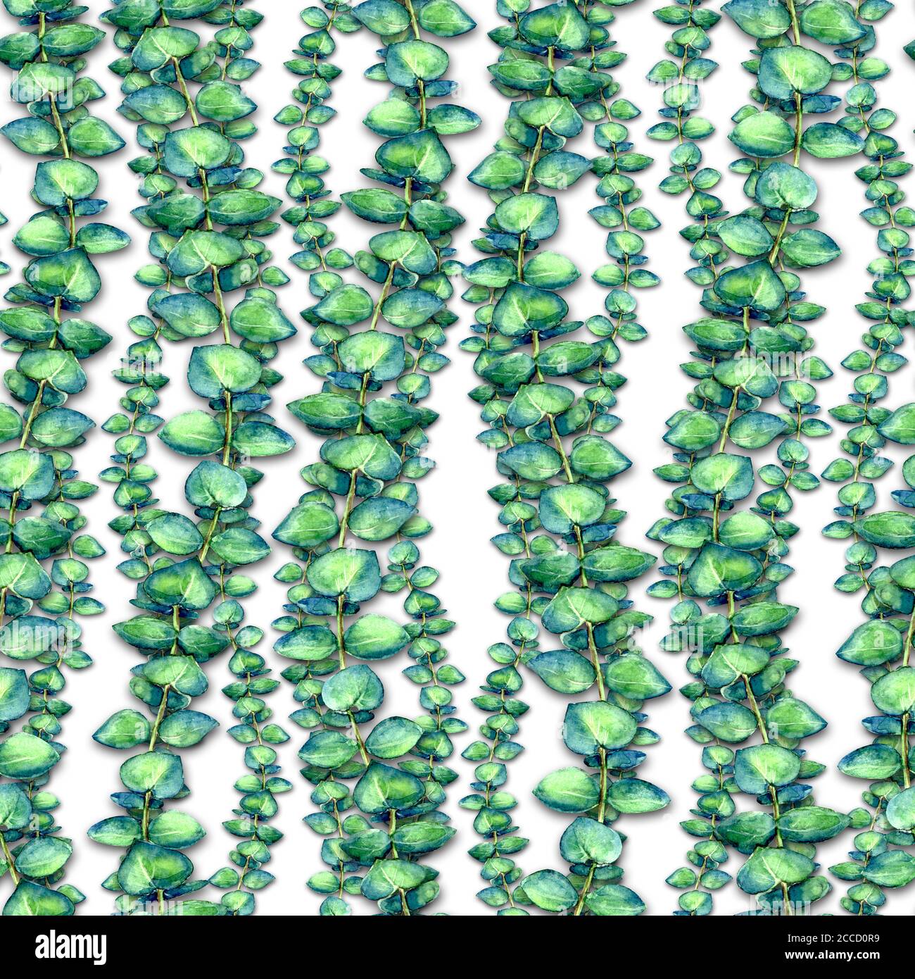Bébé Blue Eucalyptus branches sur fond blanc aquarelle sans couture motif. Aquarelle dessin main de verdure texture botanique illustration. Imprimer f Banque D'Images