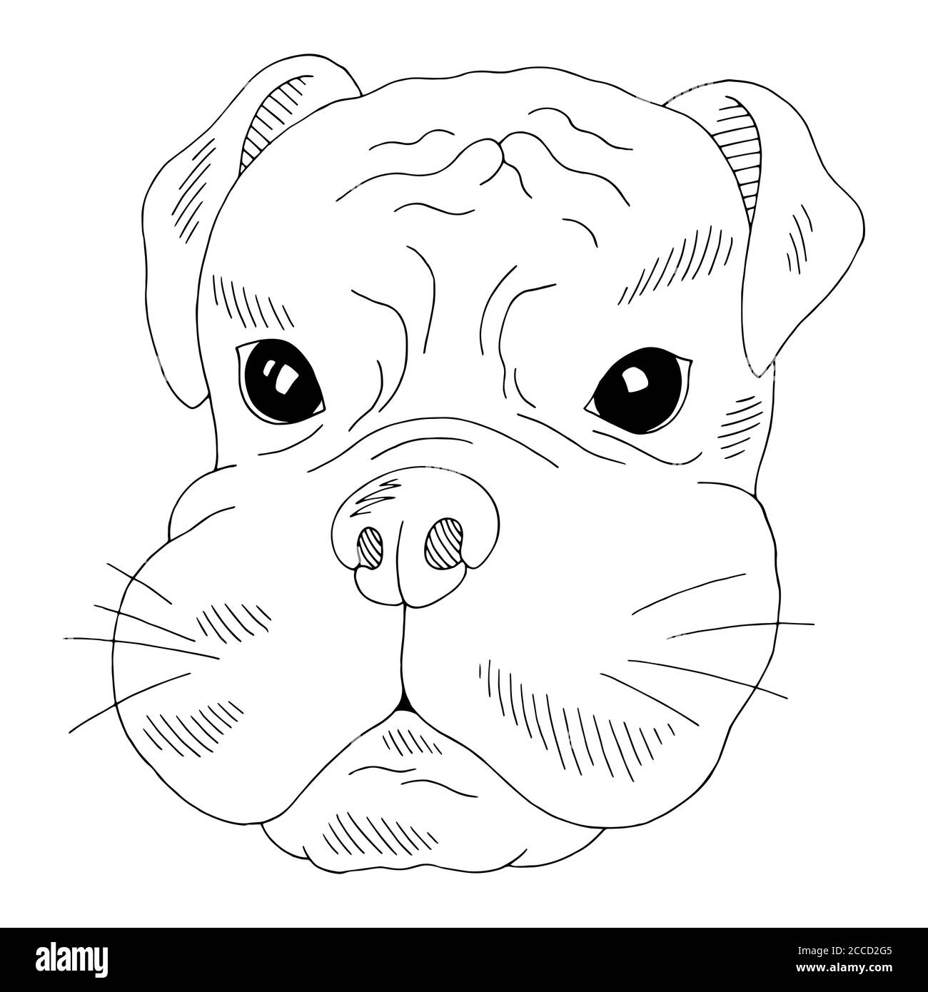 Boxer chien visage portrait graphique noir blanc isolé dessin illustration vecteur Illustration de Vecteur