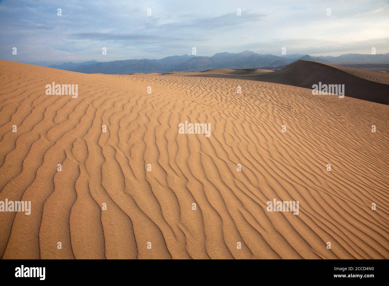 Dunes de sable de la vallée de la mort à l'aube Banque D'Images