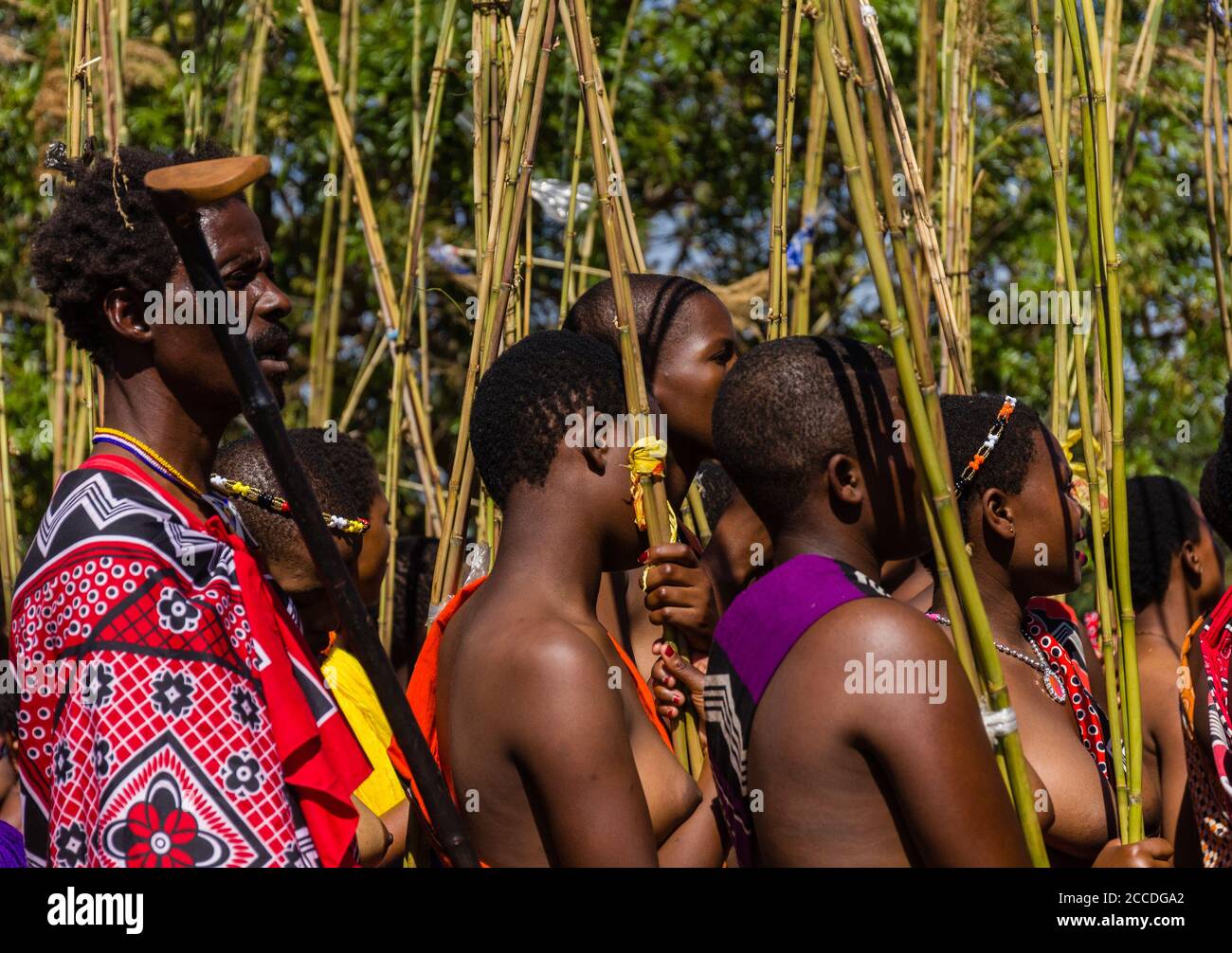 Umhlanga, ou Reed Dance, une cérémonie anuelle à eSwatini, ex-Swaziland. Des milliers de filles swazies célibataires et vierges dansent pour la famille royale Banque D'Images
