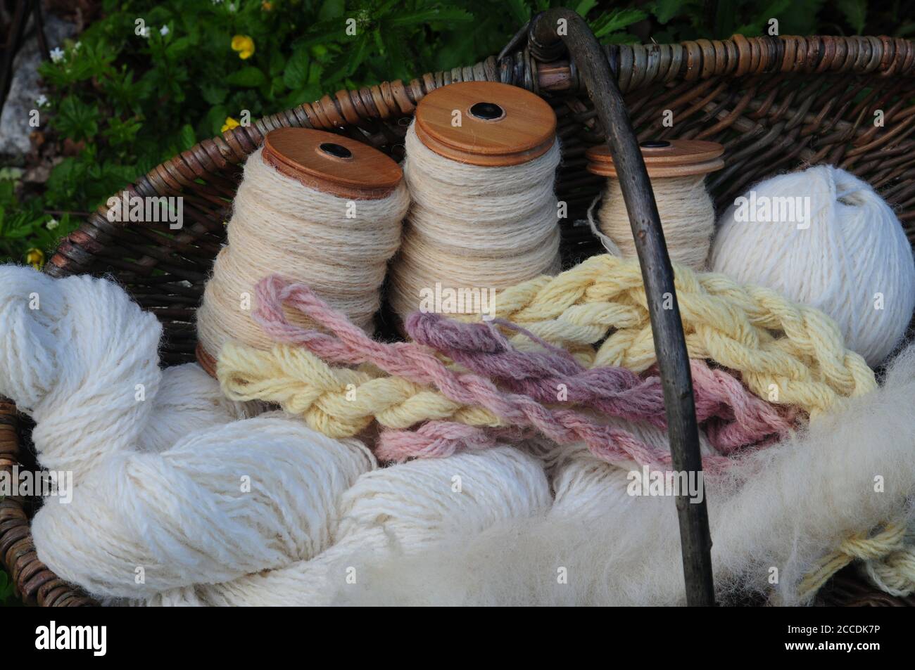 Panier de laine filée et naturellement teint, avec un rolag de polaire Pickwick cru prêt à tourner au premier plan. Banque D'Images