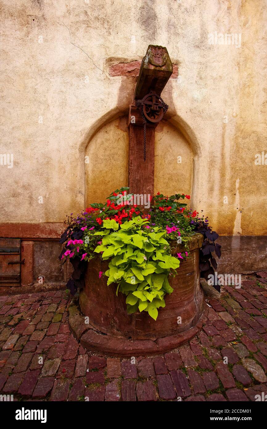 Vieux puits, jardinière, fleurs, vignes, trottoir en briques, antique, village fortifié, 15-18 siècles, Alsace, Europe, Riquewihr; France Banque D'Images