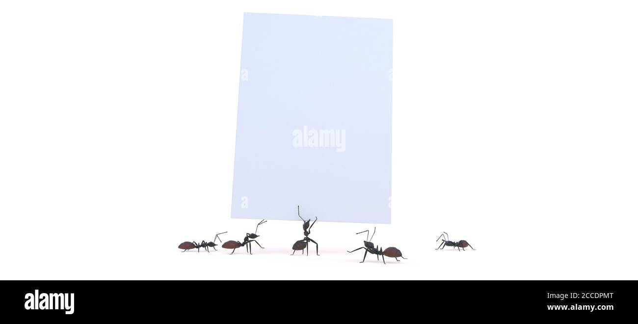 Fourmis transportant une feuille de papier rendu 3D Banque D'Images