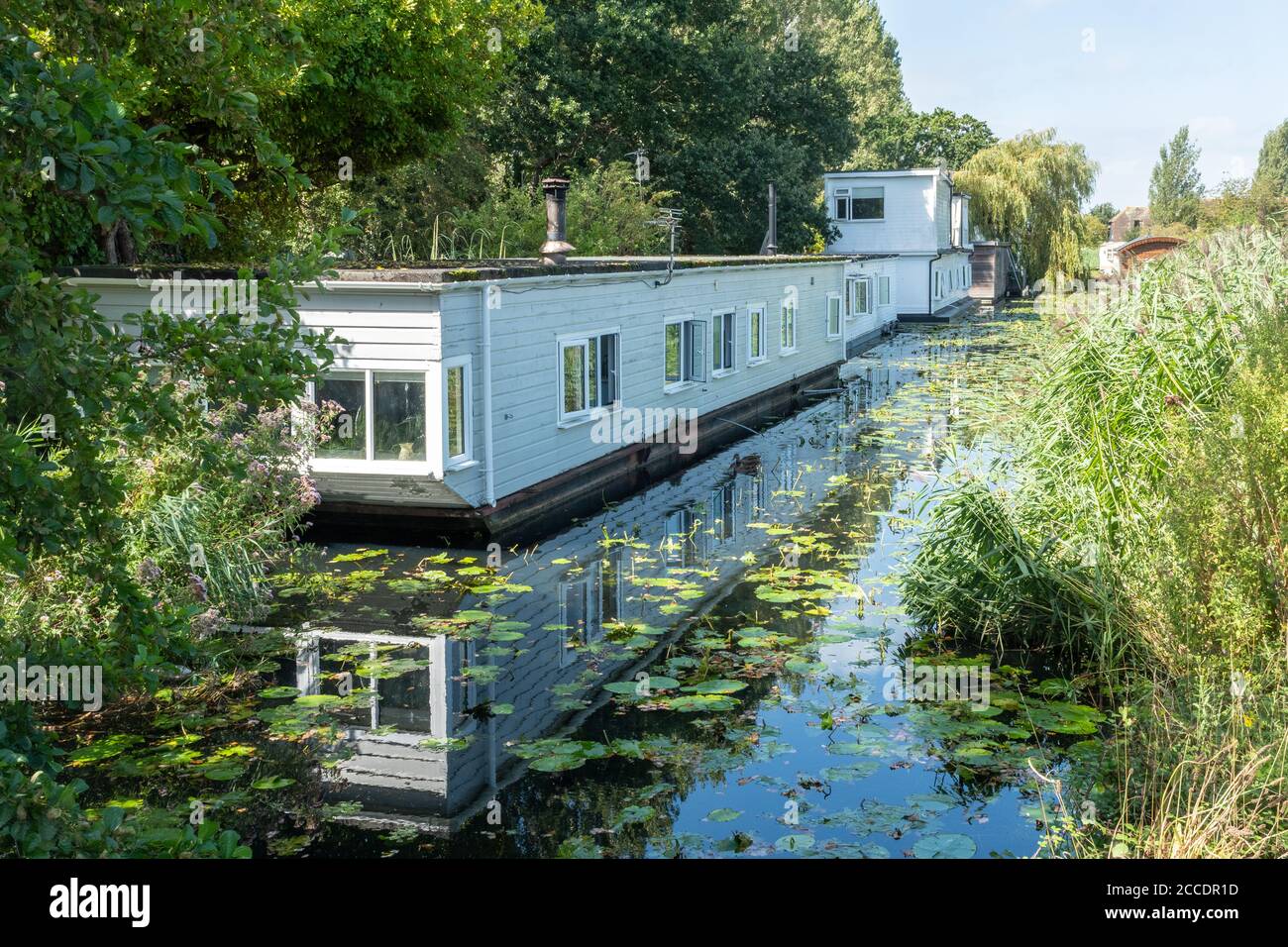 Péniche aménagée sur le canal Chichester près de Chichester Marina, West Sussex, Royaume-Uni, pendant l'été Banque D'Images