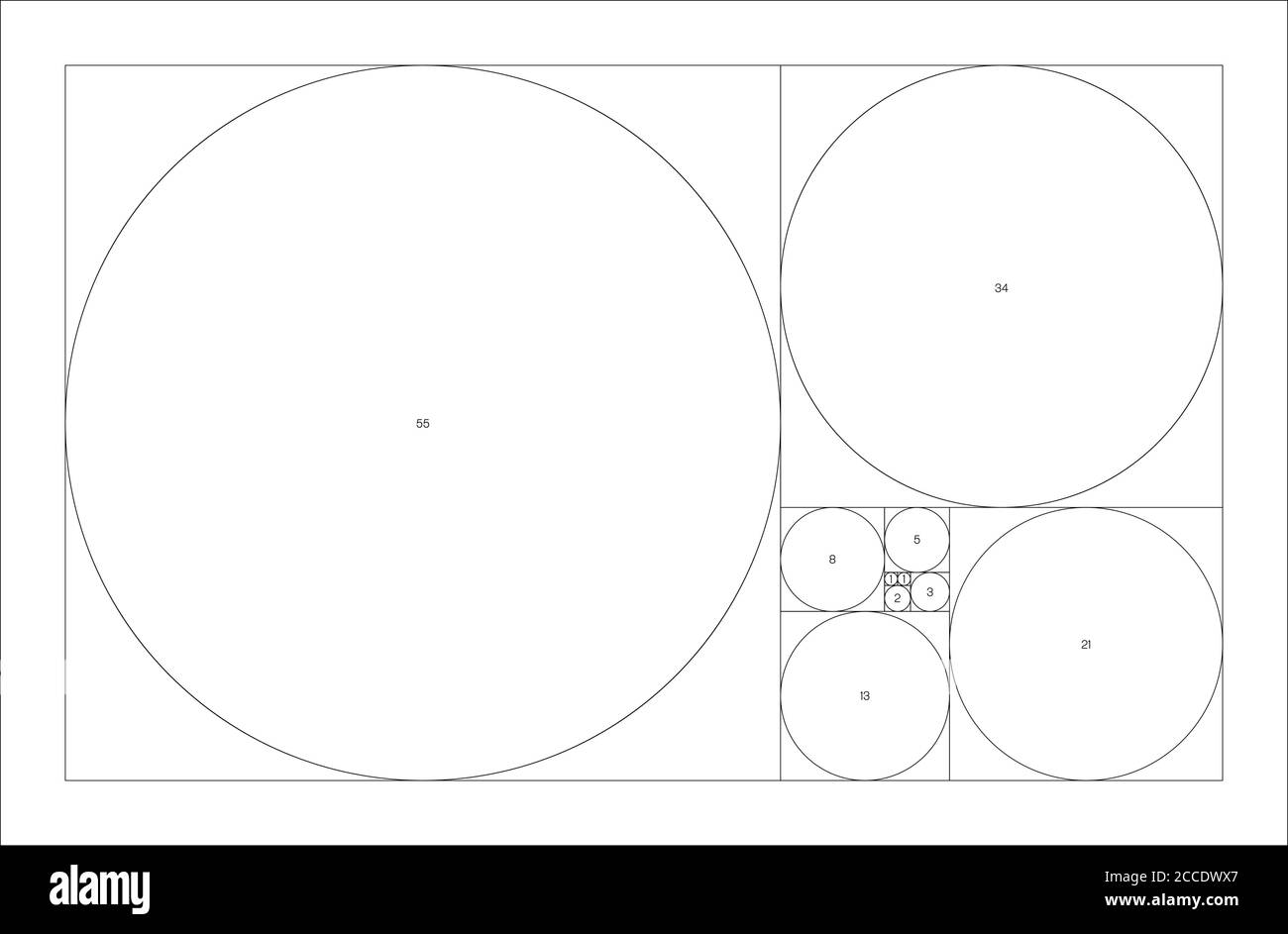 Séquence de cercles Fibonacci. Concept géométrique Golden ratio. Illustration vectorielle. Illustration de Vecteur