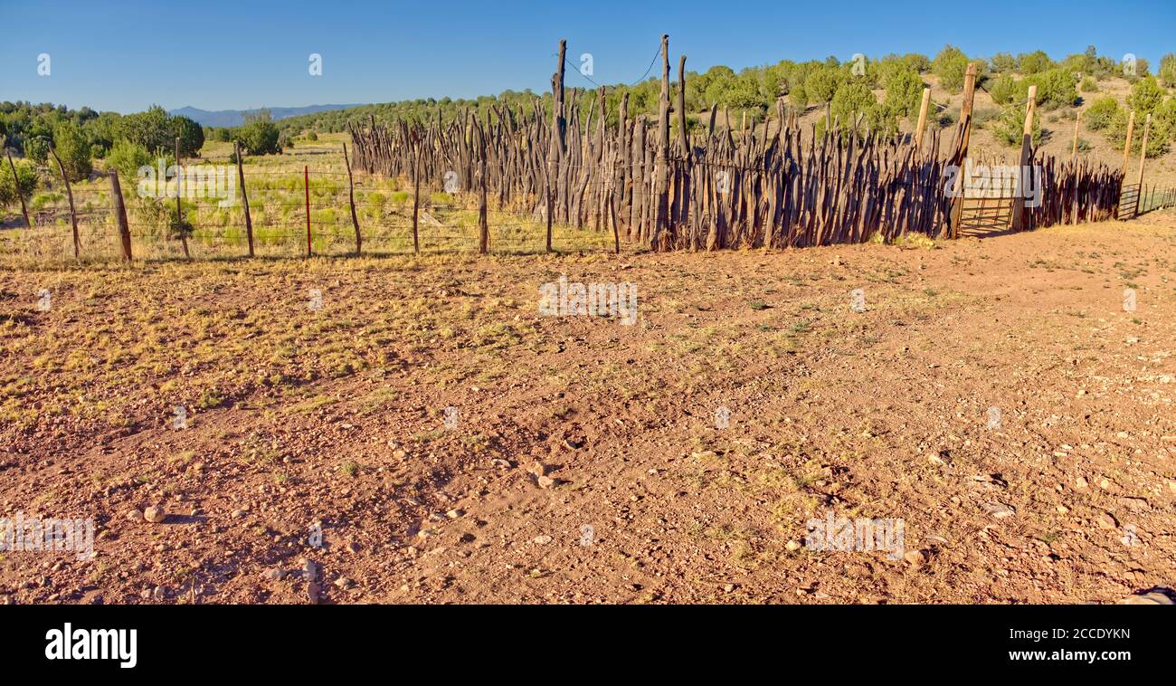 Le barrage de bétail Tank Corral dans la forêt nationale de Prescott Arizona à l'est de la vallée de Chino, maintenant sec du manque de pluie et de la chaleur de l'été. Banque D'Images