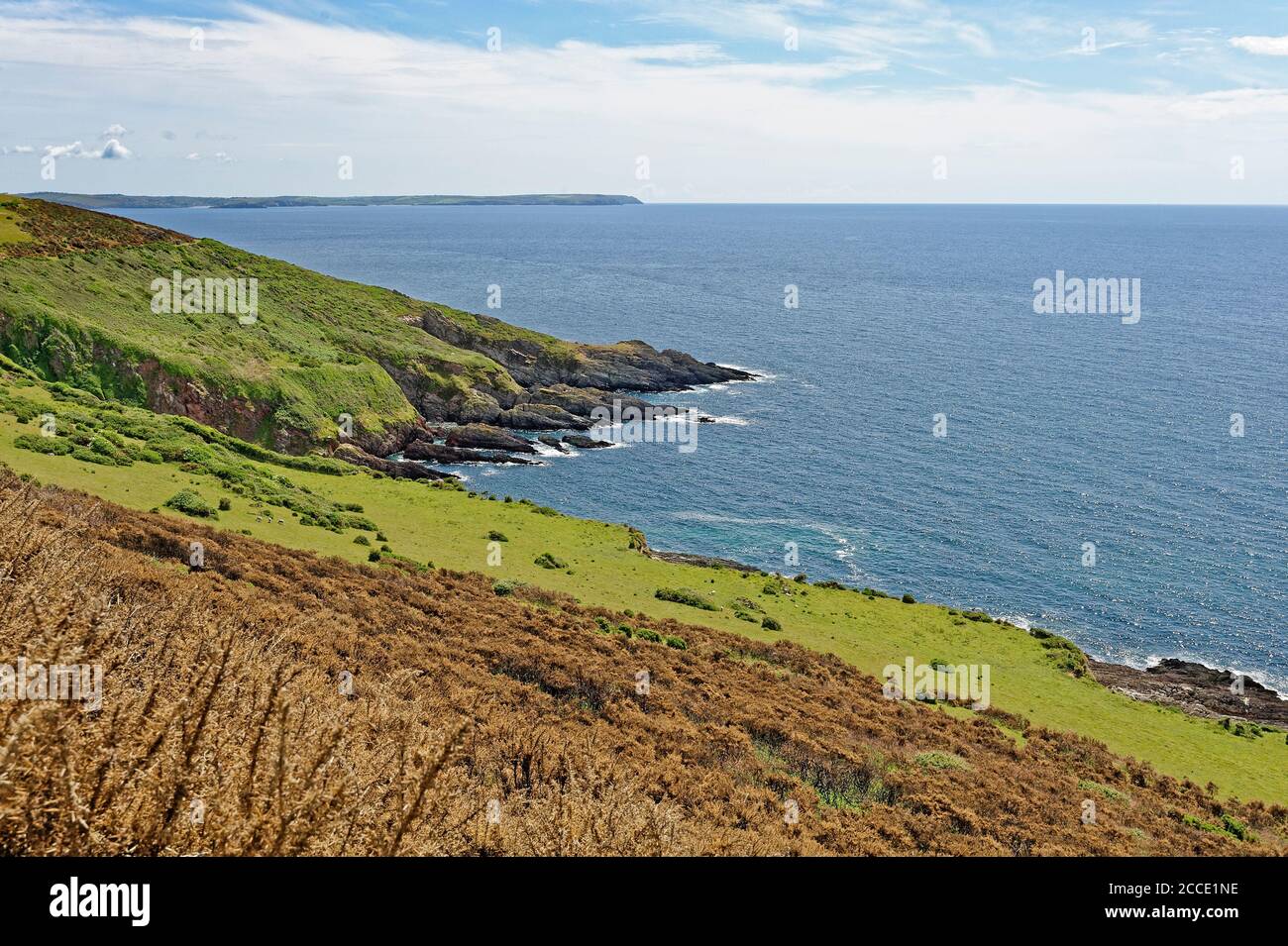 devon South West Coastal path Angleterre Royaume-Uni Banque D'Images