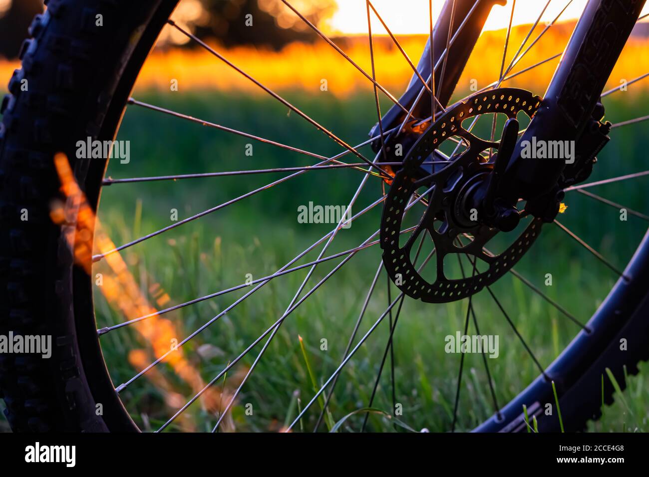 Une roue à vélo avec un fond rural au soleil Banque D'Images