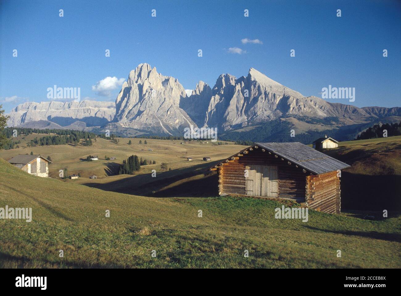 Italie, Tyrol du Sud-Trentin, Haut-Adige, Alpe di Siusi, Dolomites, fauchage de foin, fermiers de montagne du Tyrol du Sud, agriculture, lait, biologique, sustabi Banque D'Images
