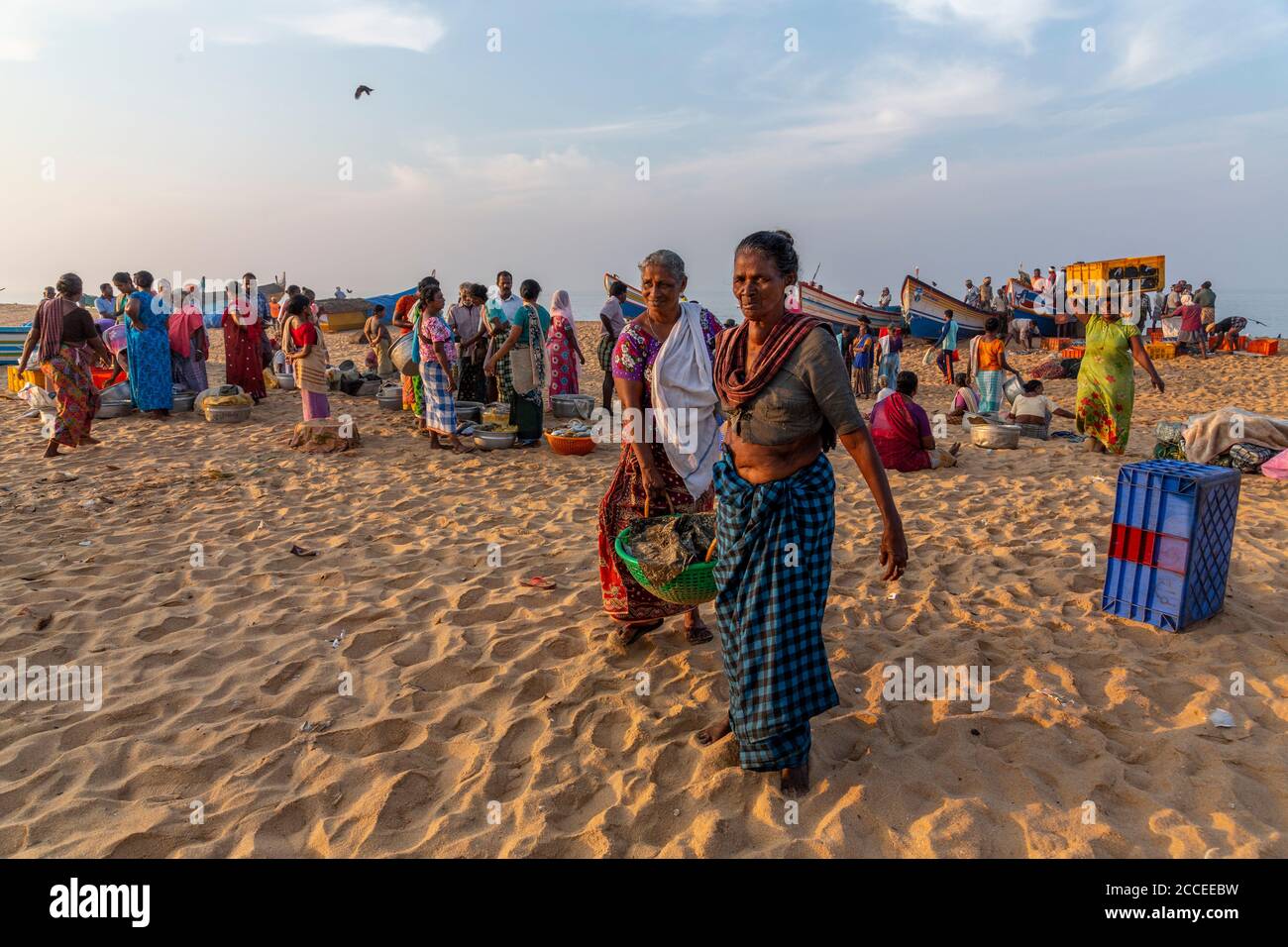 Les pêcheurs et les femmes collectent du poisson des bateaux à être mis sur le marché Banque D'Images