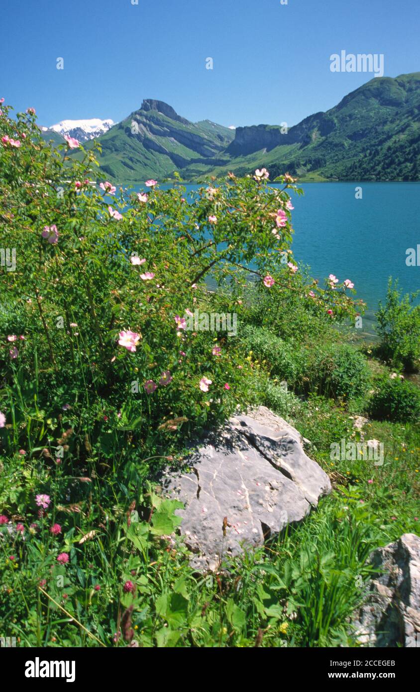 Roselend Beaufortain Lac de barrage de Savoie au printemps Banque D'Images