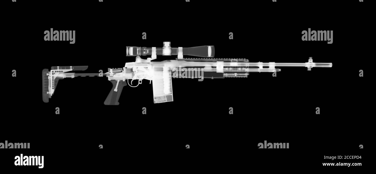 Fusil de combat amélioré M14 EBR, rayons X. Banque D'Images