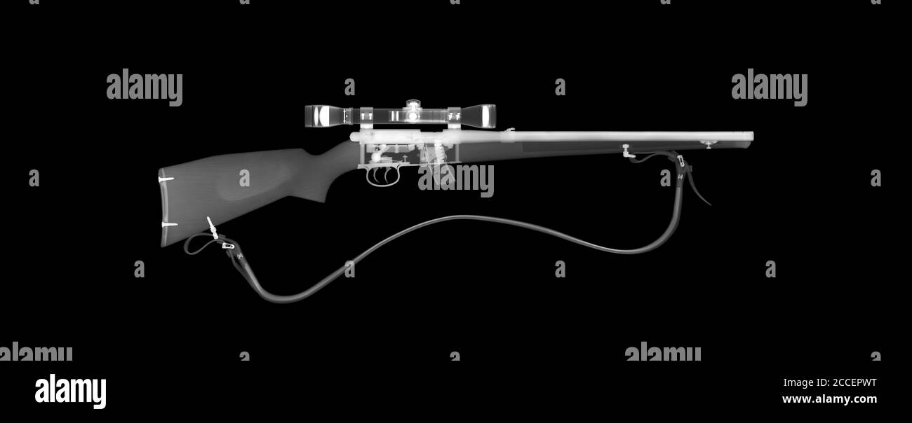Fusil de chasse Anschutz, rayons X. Banque D'Images