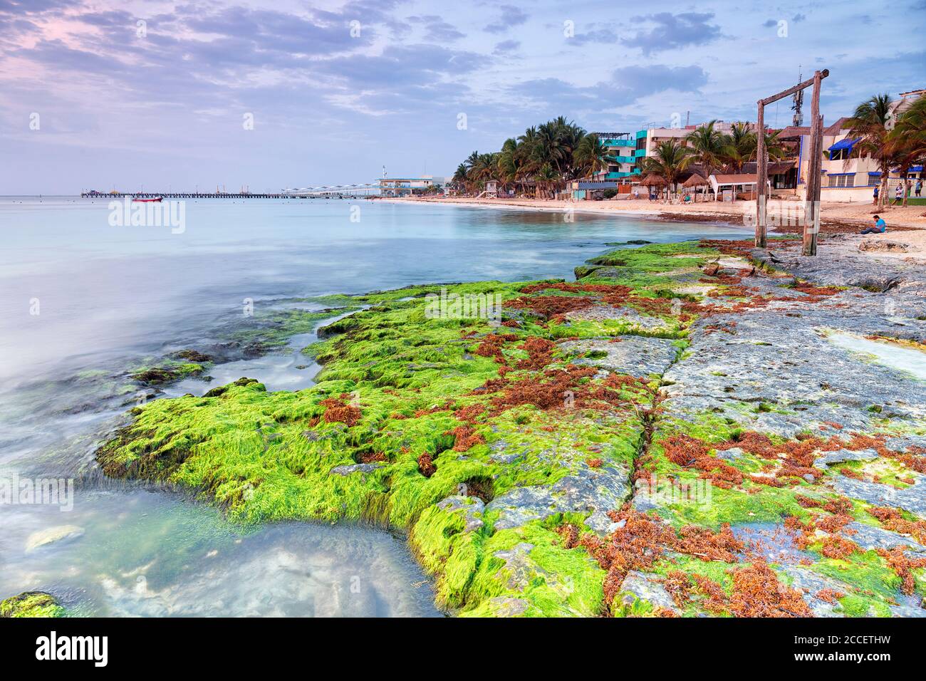 Plage Playa del Carmen, État de Quintana Roo, Mexique Banque D'Images