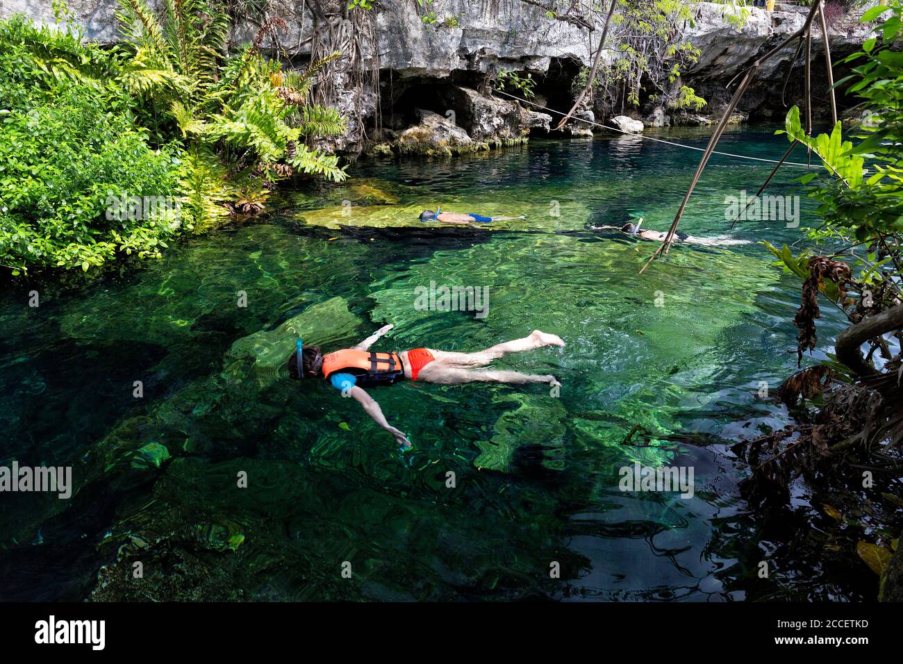 Nageur dans le Chikin Ha Cenote, Playa del Carmen, Riviera Maya, Yucatan, Mexique Banque D'Images