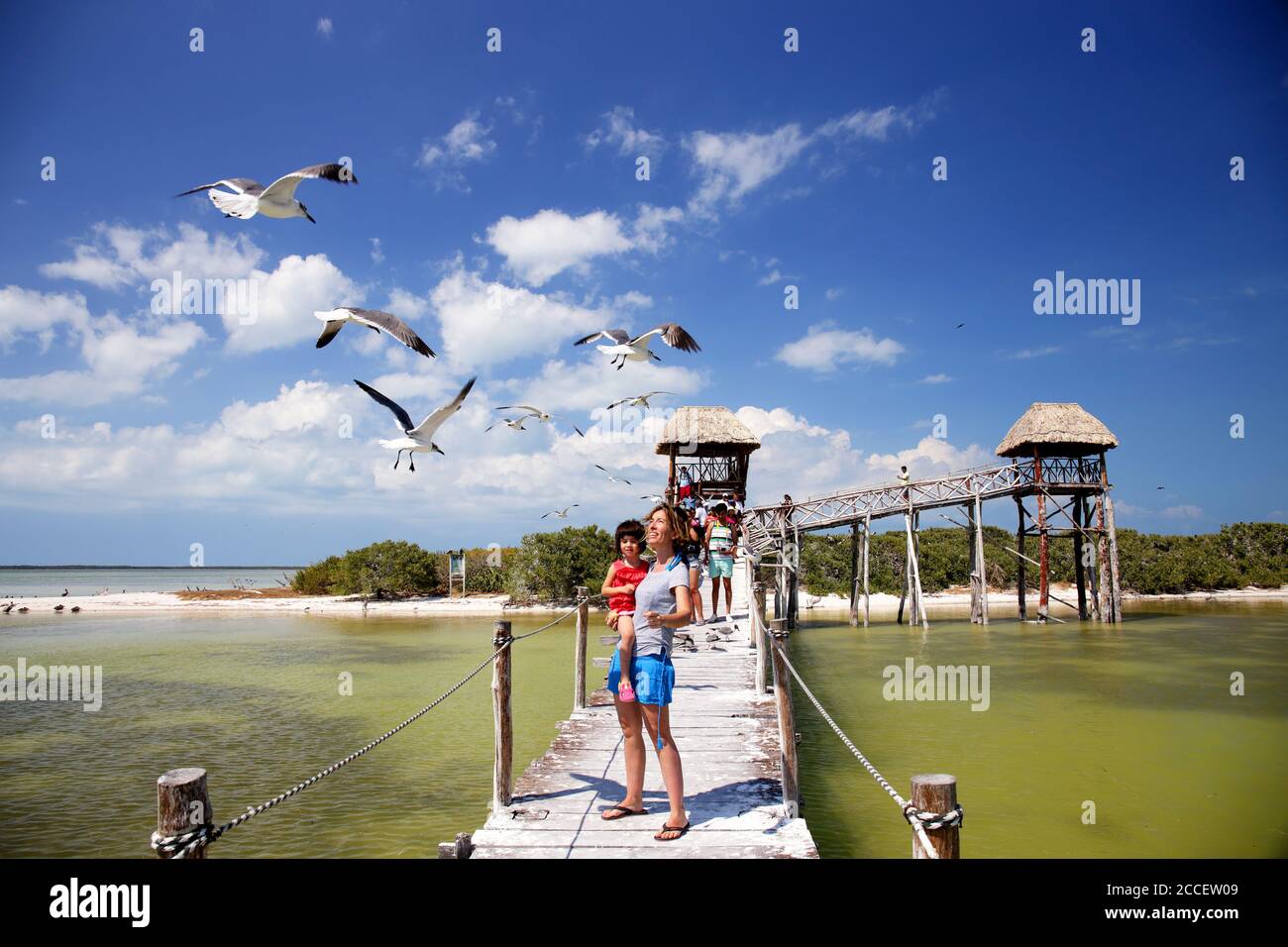 Ponton en bois servant d'observatoire d'oiseaux, le Mexique, l'île de Holbox, Cancun Banque D'Images